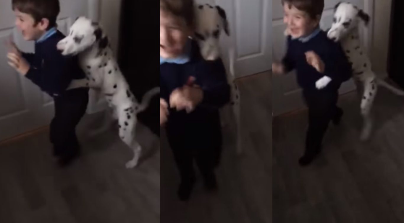El cachorro no quiere que su dueño se vaya a la escuela y hace lo posible por retenerlo. Foto captura video de YouTube @caterclips.