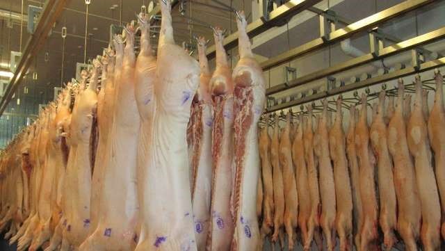 La caída de las exportaciones de carne porcina se debe fundamentalmente a la sobreoferta que hubo en el mercado chino por la liquidación de criaderos. Aunque en la industria sostuvieron que el retraso del dólar oficial tampoco ayuda.