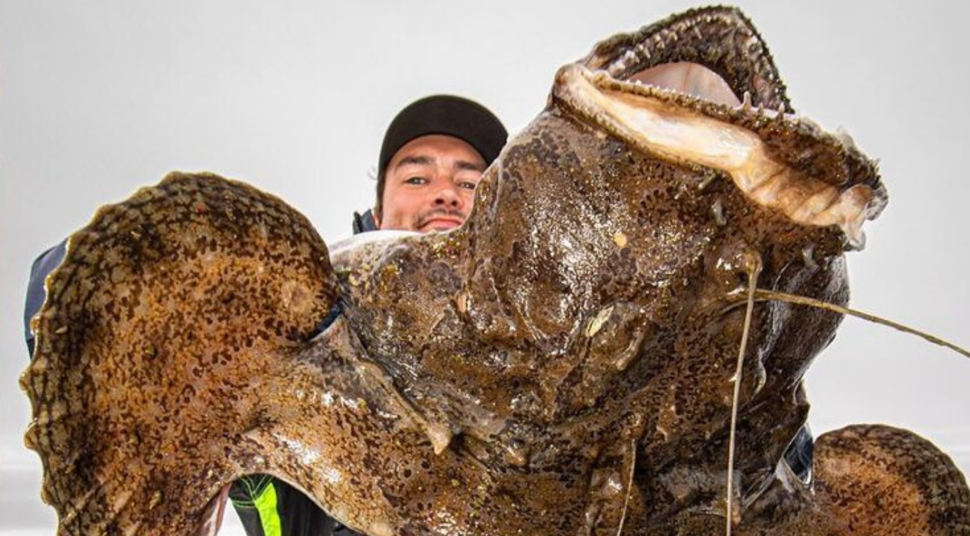 El pescador ruso Roman Fedortsov muestra criaturas marinas de aspecto alienígena. Foto: Instagram (rfedortsov_official_account)