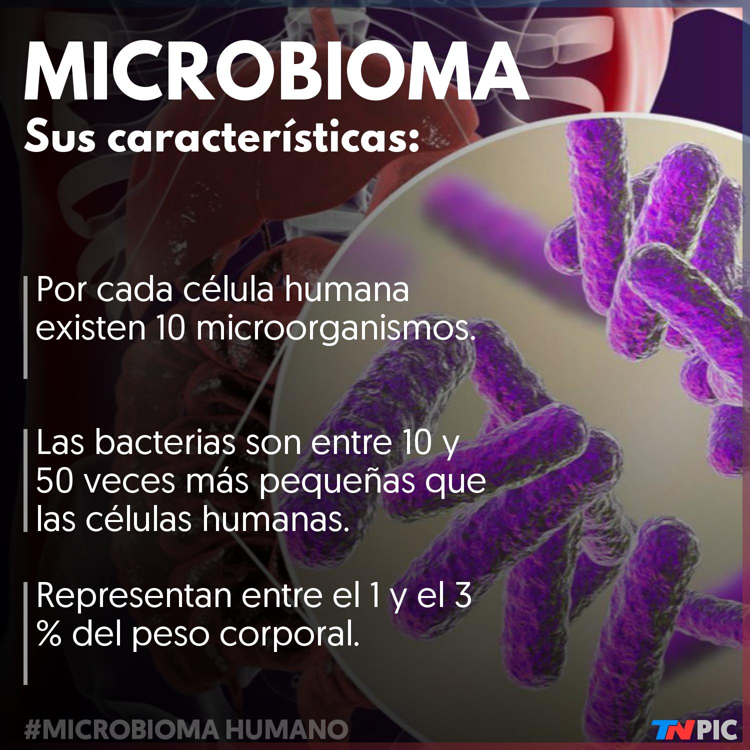 Todo lo que tus microbios hacen por vos y no sabías | TN