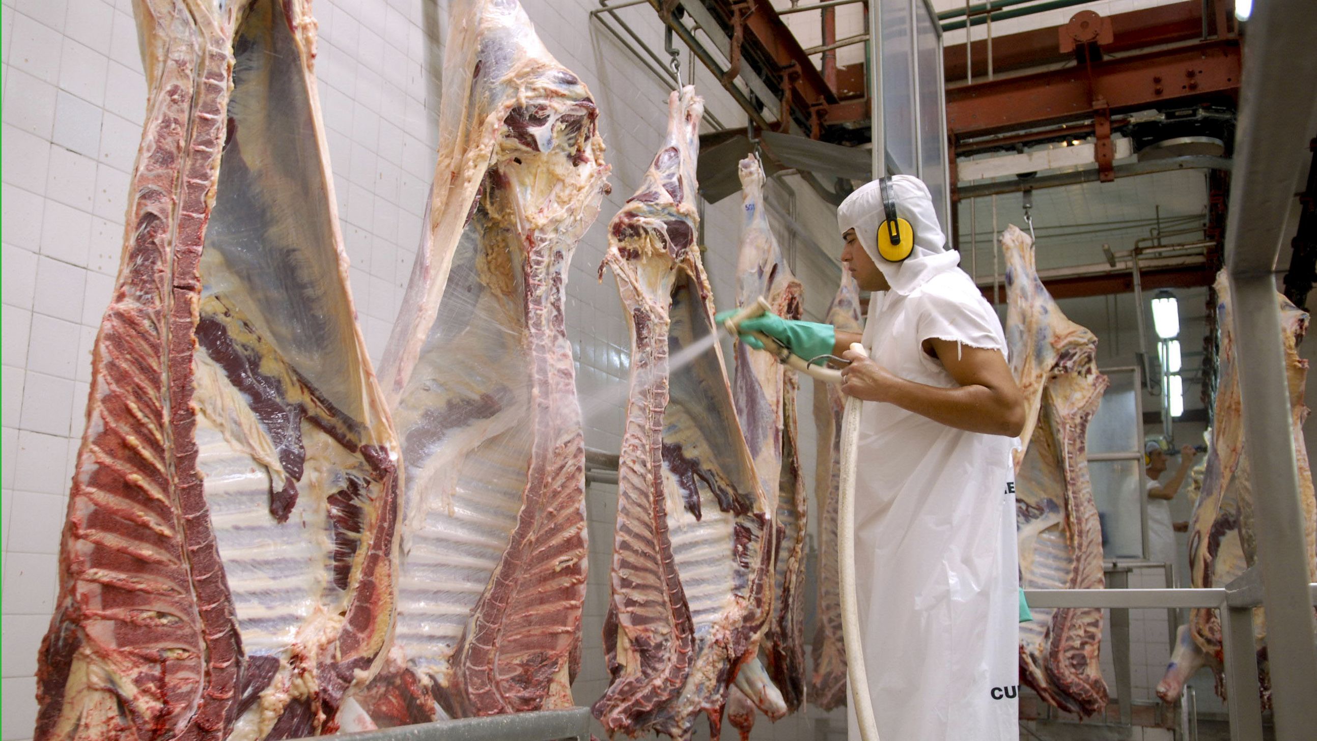 El cepo exportador a la carne tiene impacta sobre la producción ganadera y también sobre la industria frigorífica.(Foto: NA/PABLO LASANSKY)