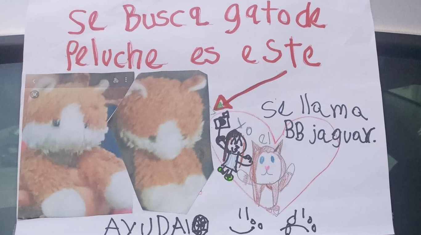 Una niña ofreció una tierna recompensa para recuperar a su peluche y se volvió viral. Foto: Facebook Carlos López Mar