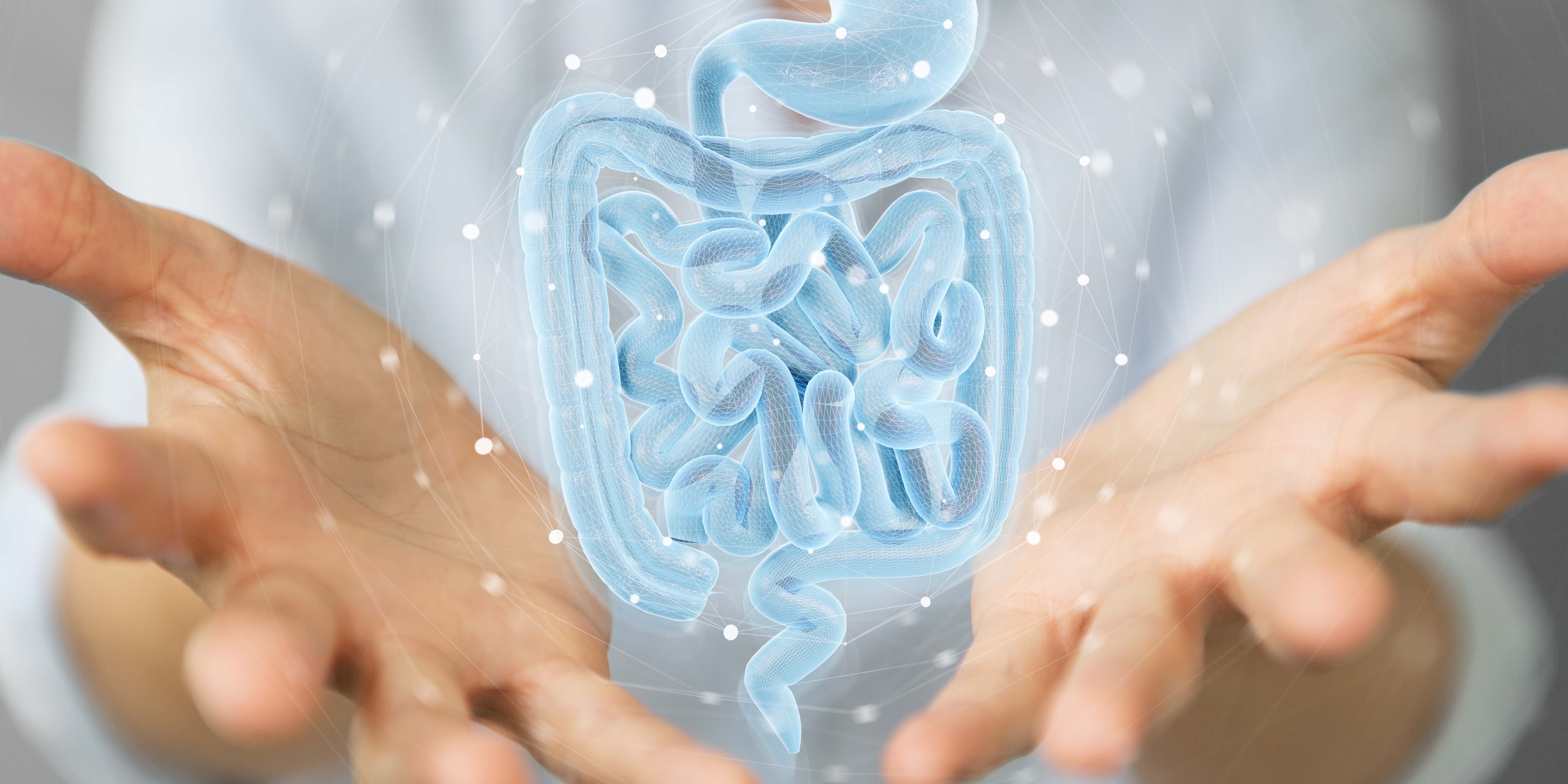 La microbiota cumple roles en materia de digestión, inmunología y bienestar emocional. (Foto: Adobe Stock)