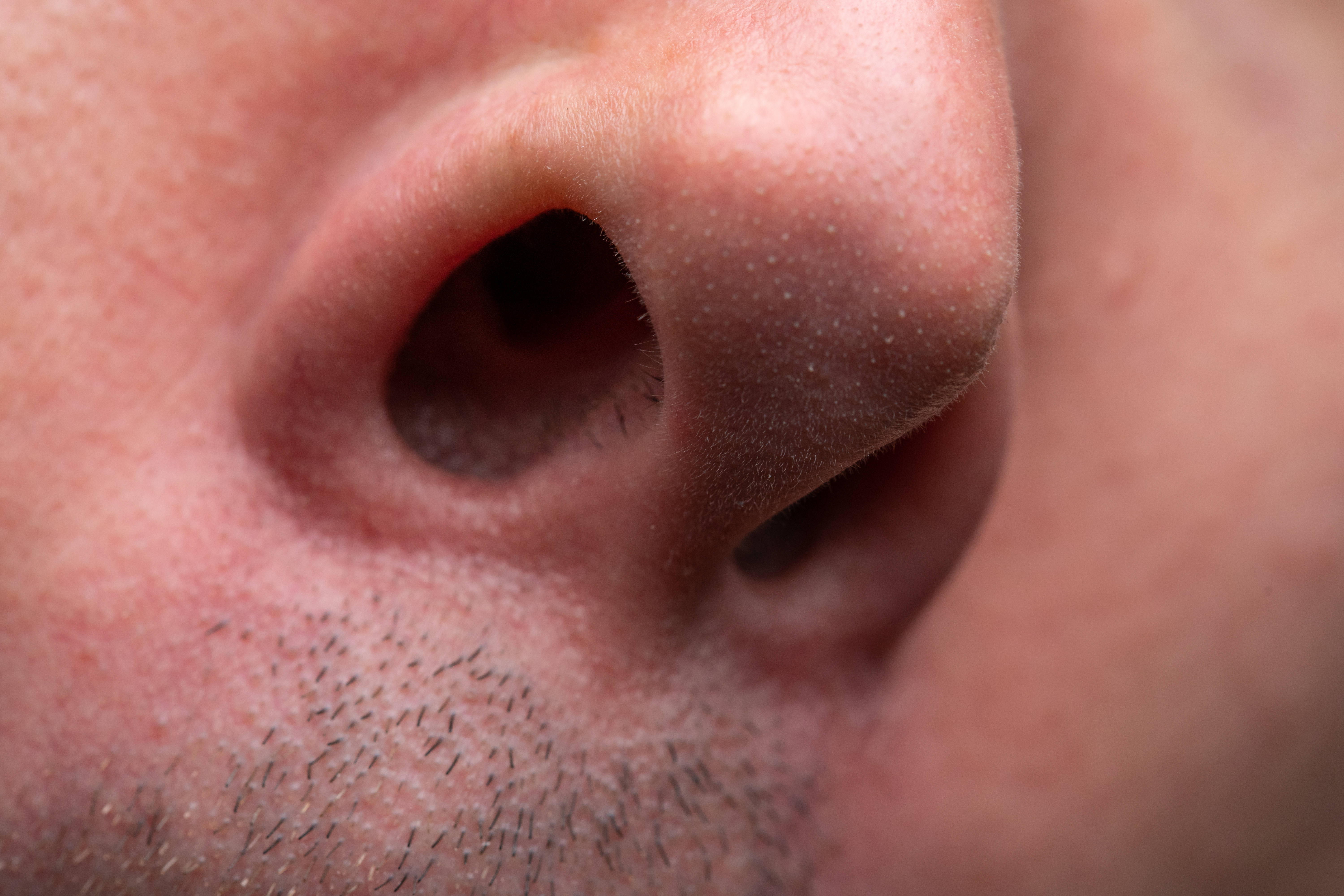 Hay maneras de mantener los pelos de la nariz bajo control sin alterar su función (Foto: Chris Tefme - stock.adobe.com)