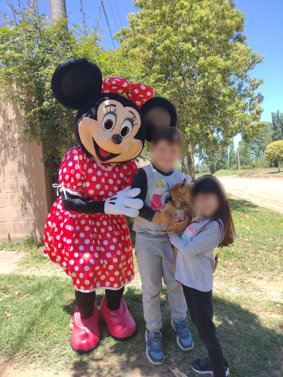 cocina ignorar escucha En forma de cuento y con un disfraz de Minnie Mouse un juzgado le comunicó  a una nena de 7 años que había sido adoptada | TN