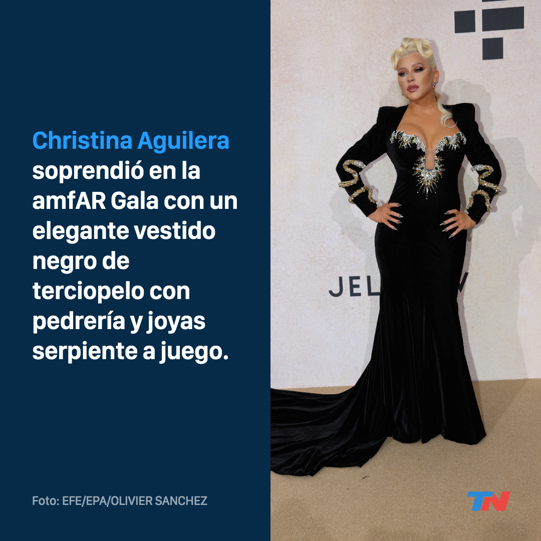Tajos y aberturas cut out deslumbraron en la Gala amfAR | TN