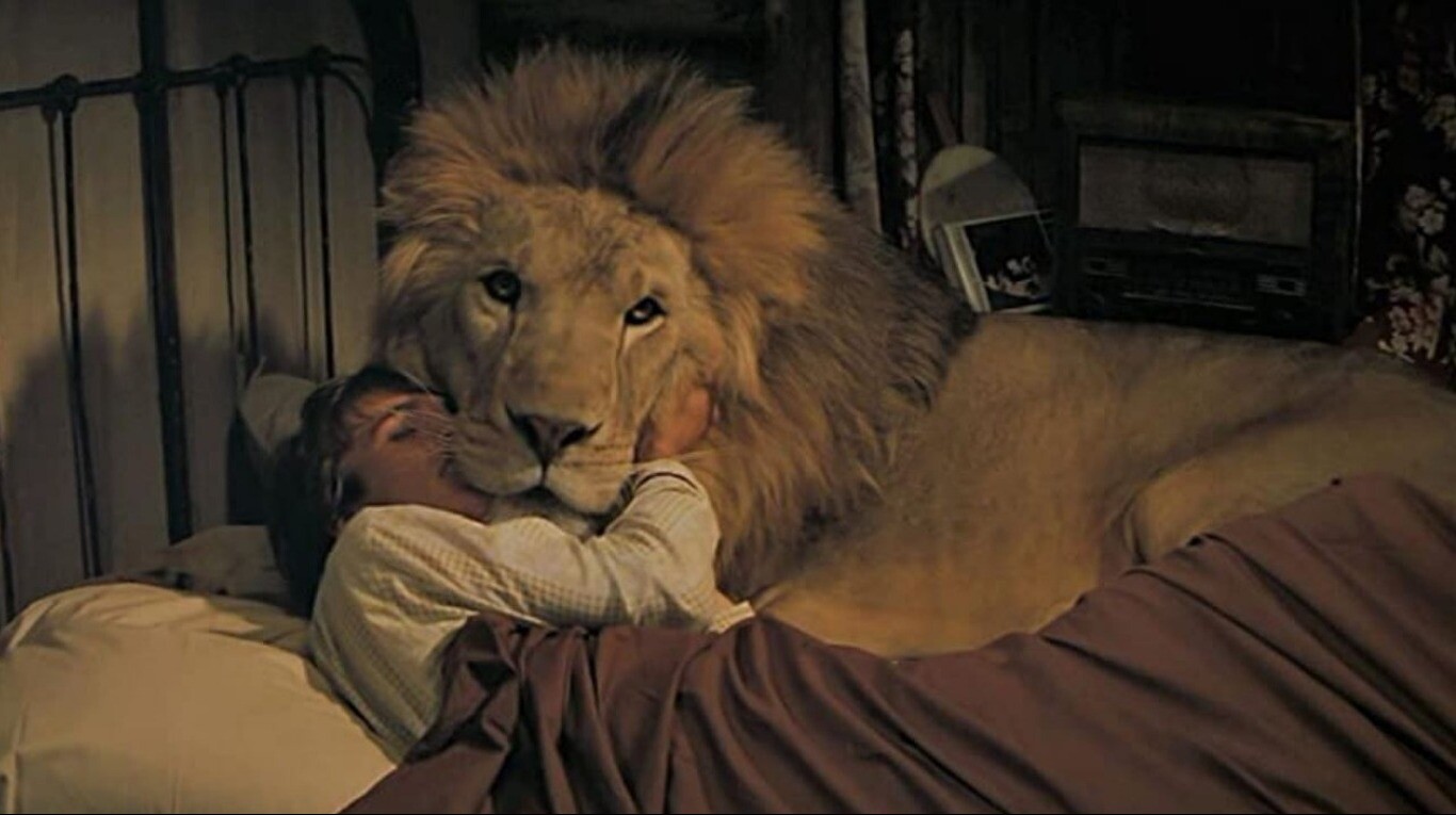 Roar”, la película más peligrosa de Hollywood: 150 animales salvajes, 70  ataques de leones y actores desfigurados | TN