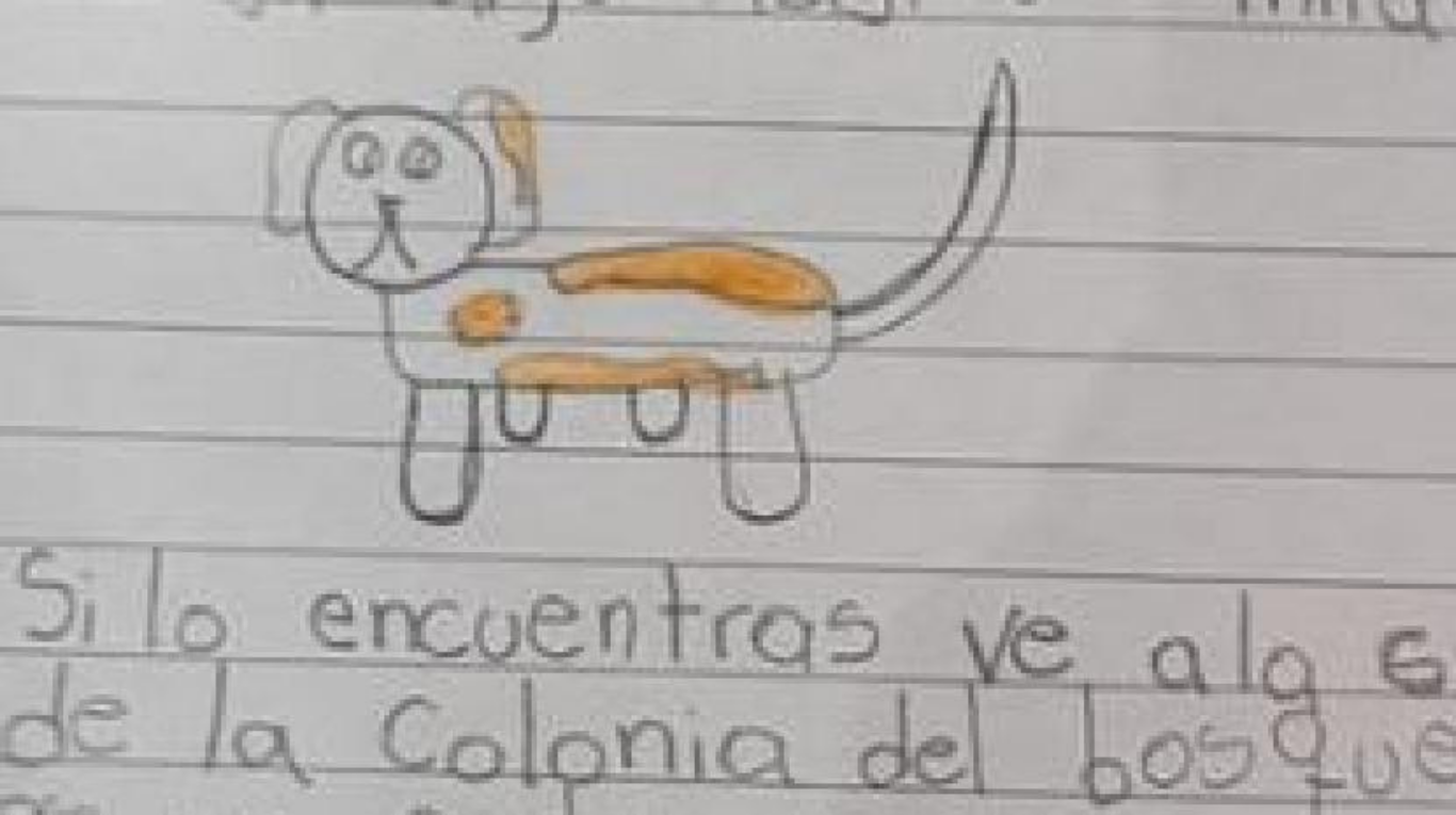Una niña escribió una emotiva y emotiva carta para encontrar a un perrito, lo dibujó a mano y se viralizó. Foto: Facebook PaTito Ojeda.