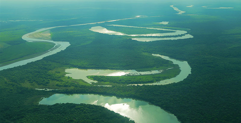 La naturaleza m s salvaje te espera en El Impenetrable TN