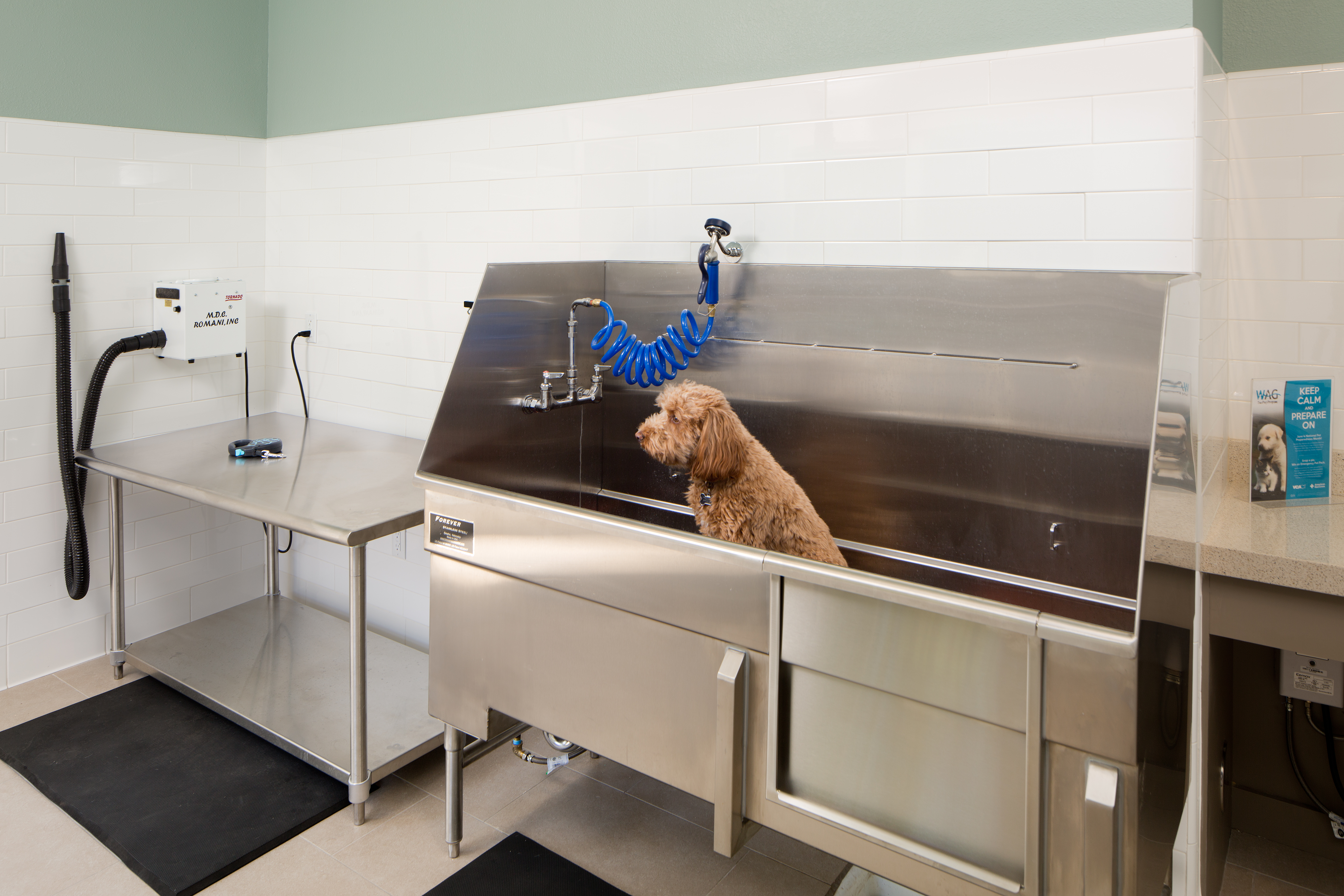 Pet wash at Eaves