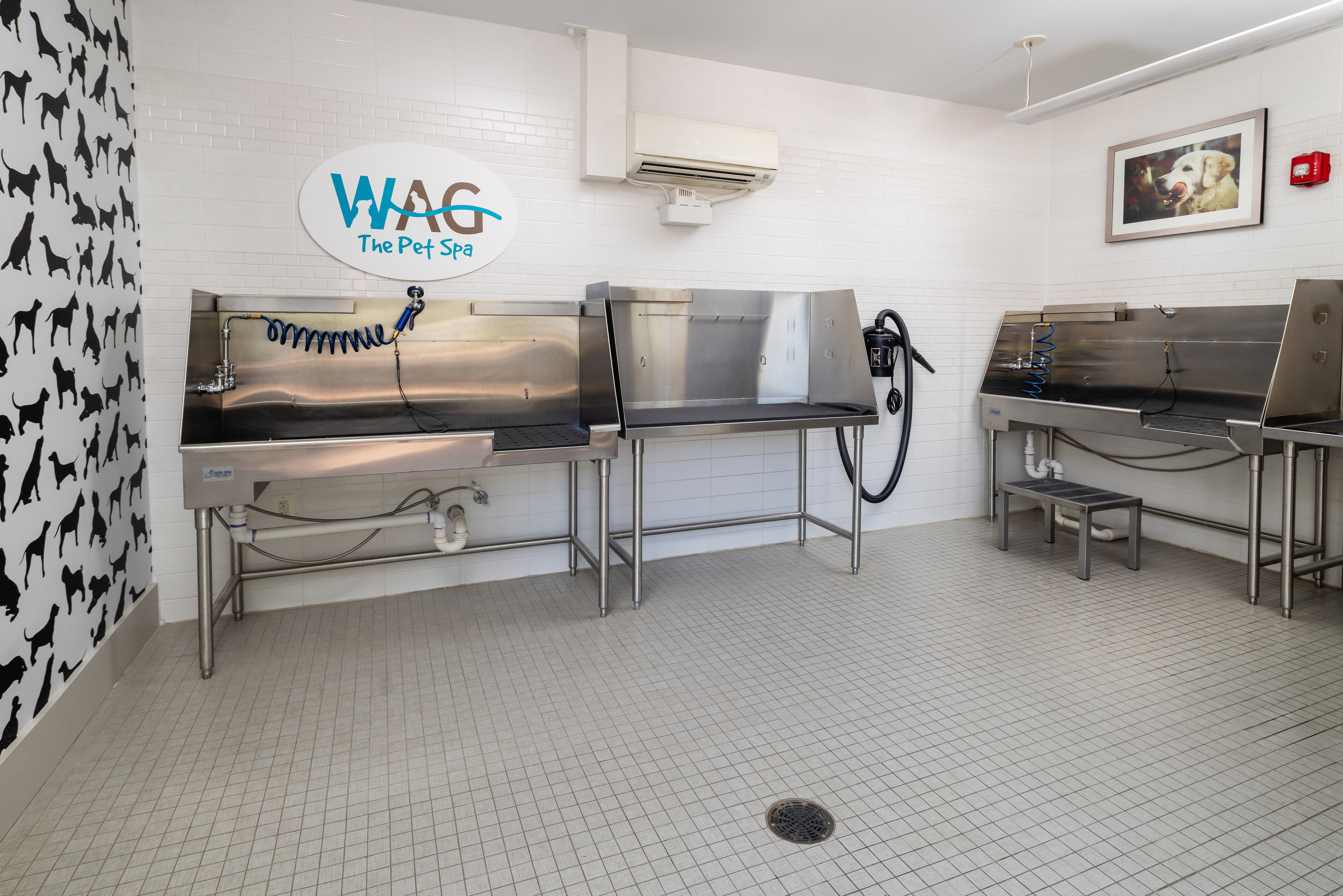 Pet wash at Avalon
