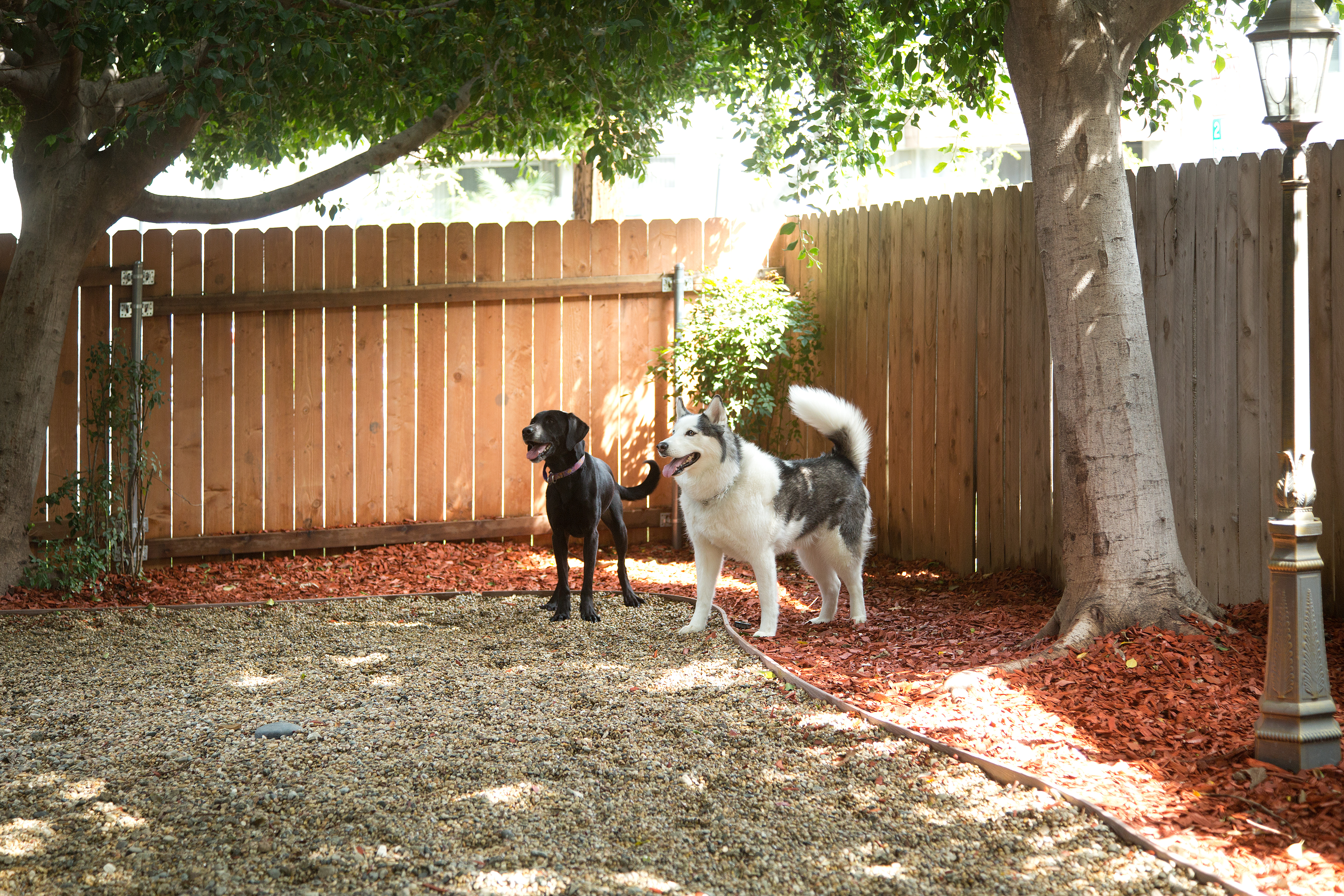 Dog park at Eaves Old Town
