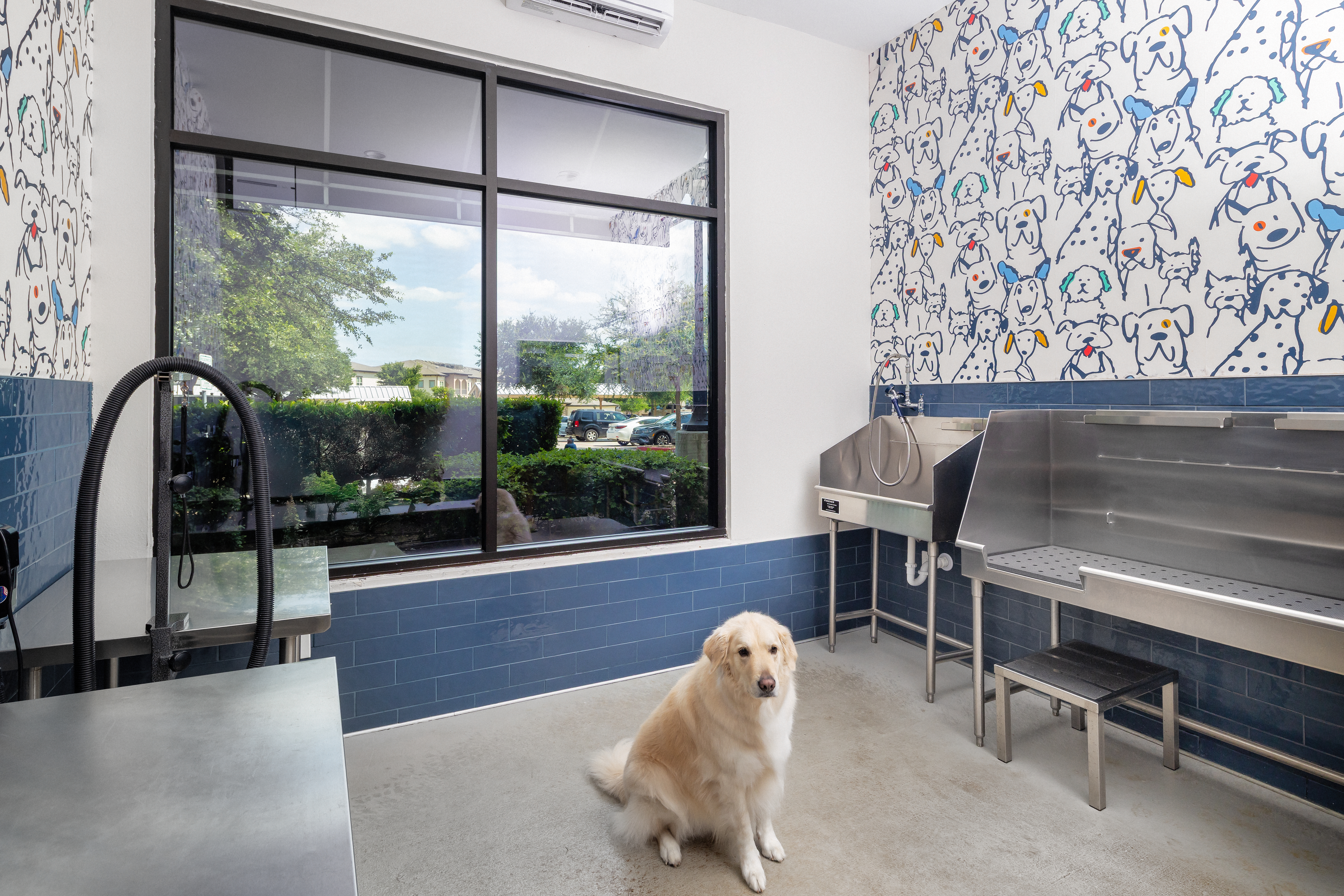 Pet wash at Avalon Lakeside