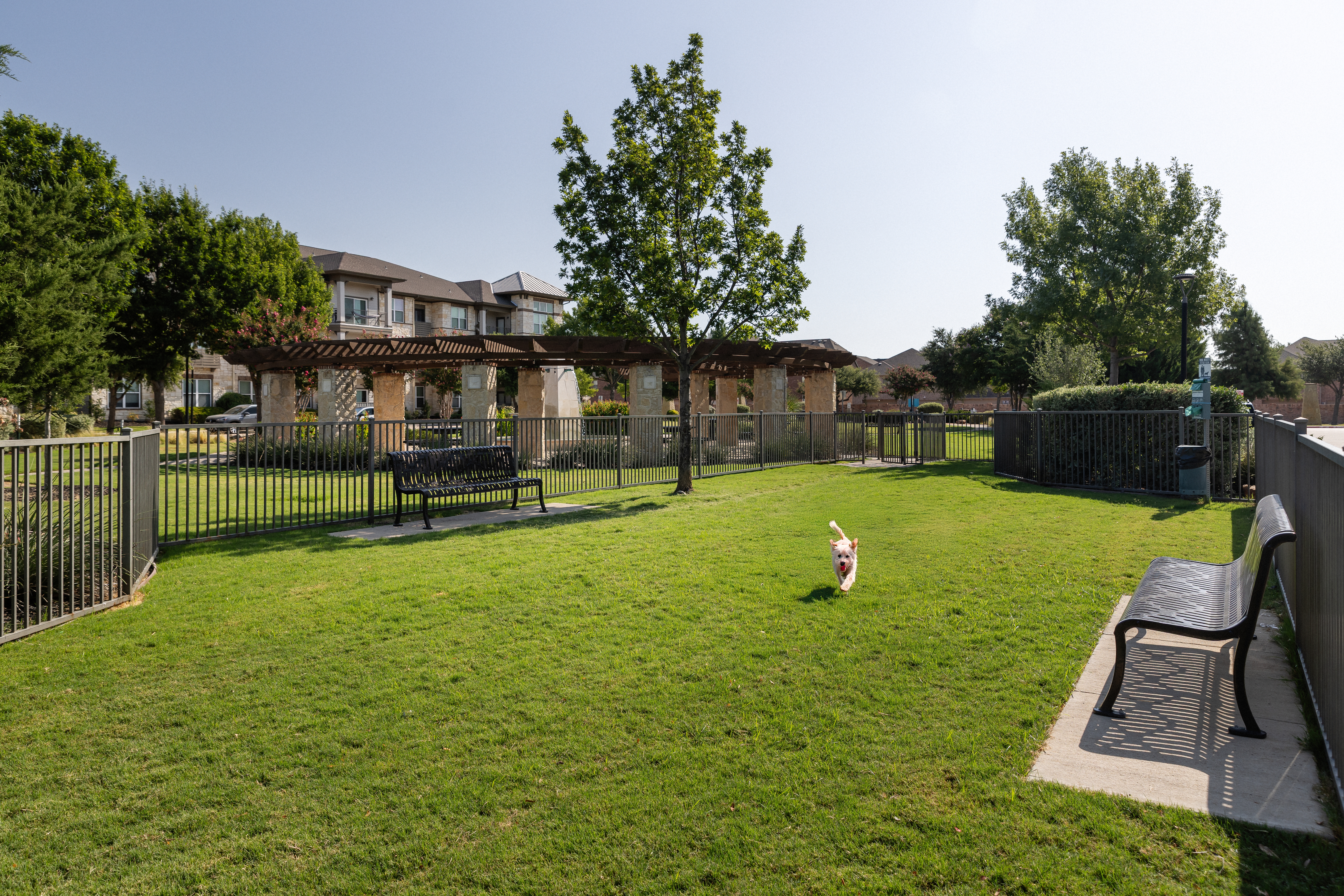 Dog park at Avalon At Pier 121