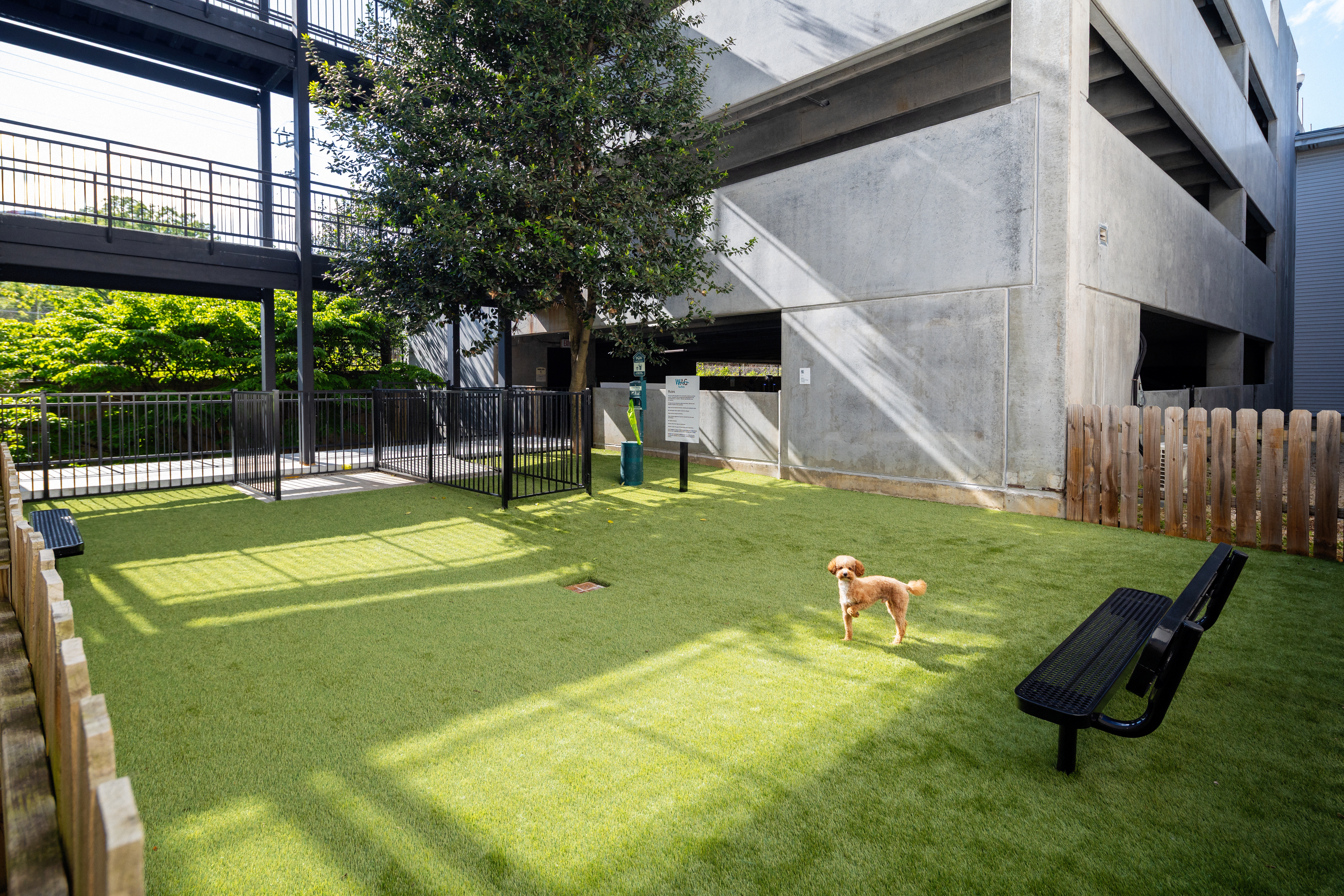 Dog park at Avalon At Grosvenor Station
