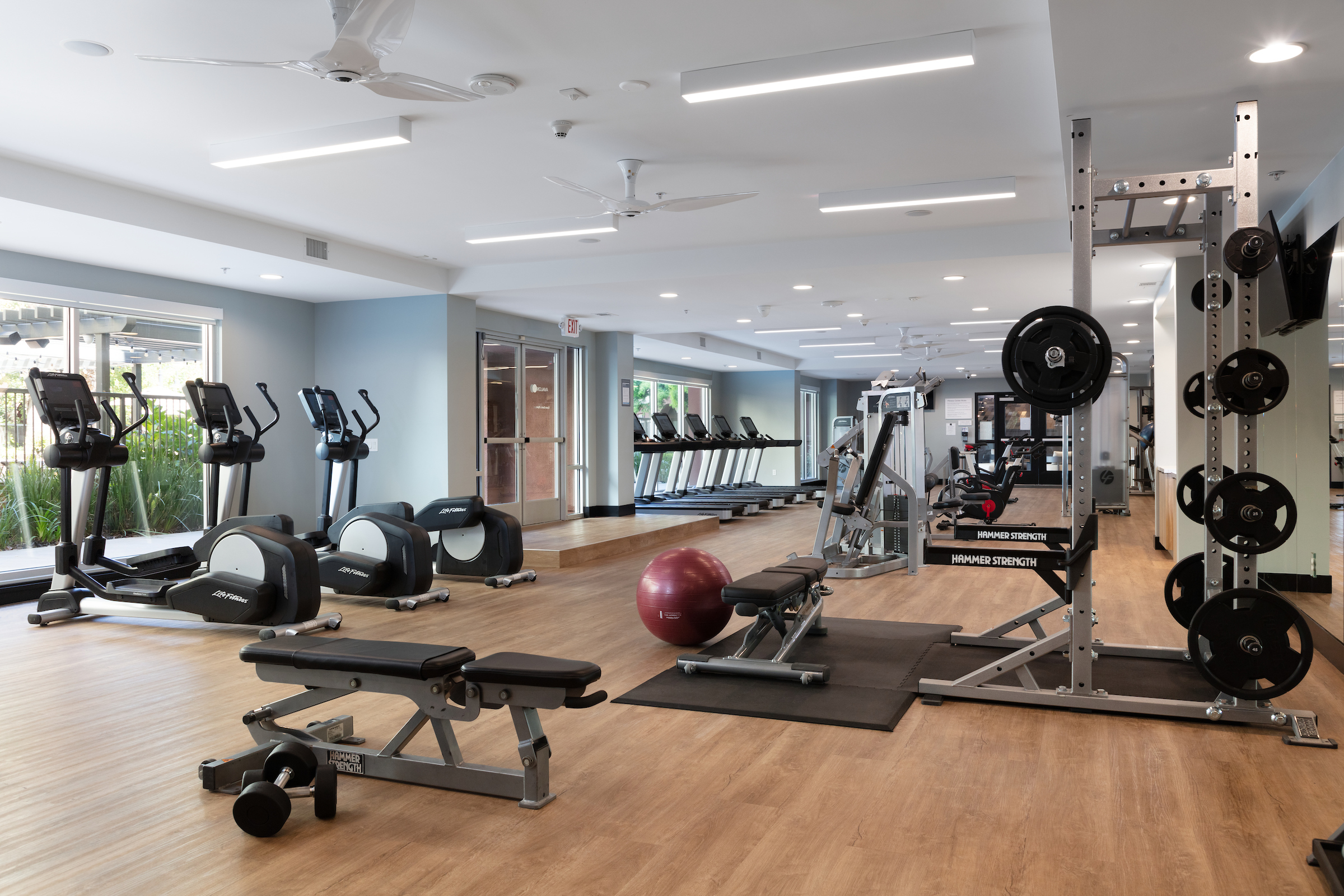 Gym at Avalon (1 of 2)