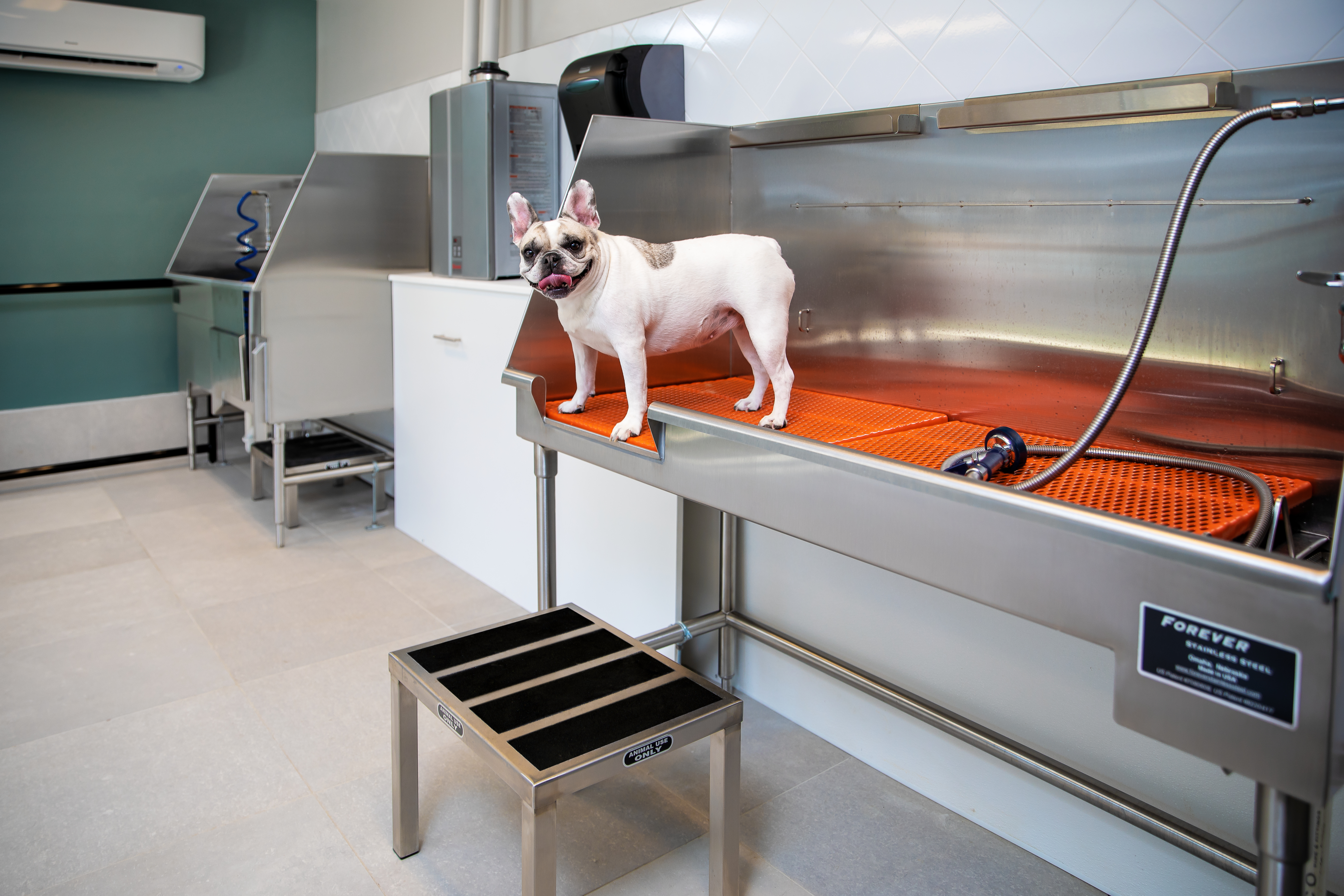 Pet wash at Avalon