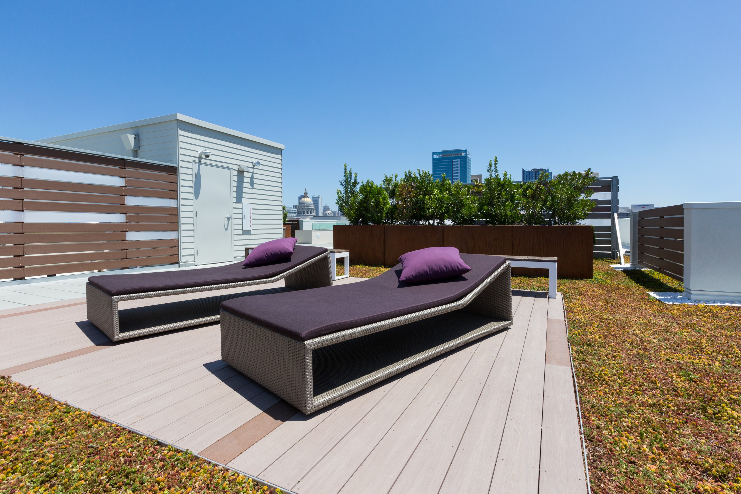 Roof deck at Avalon Hayes Valley (1 of 3)