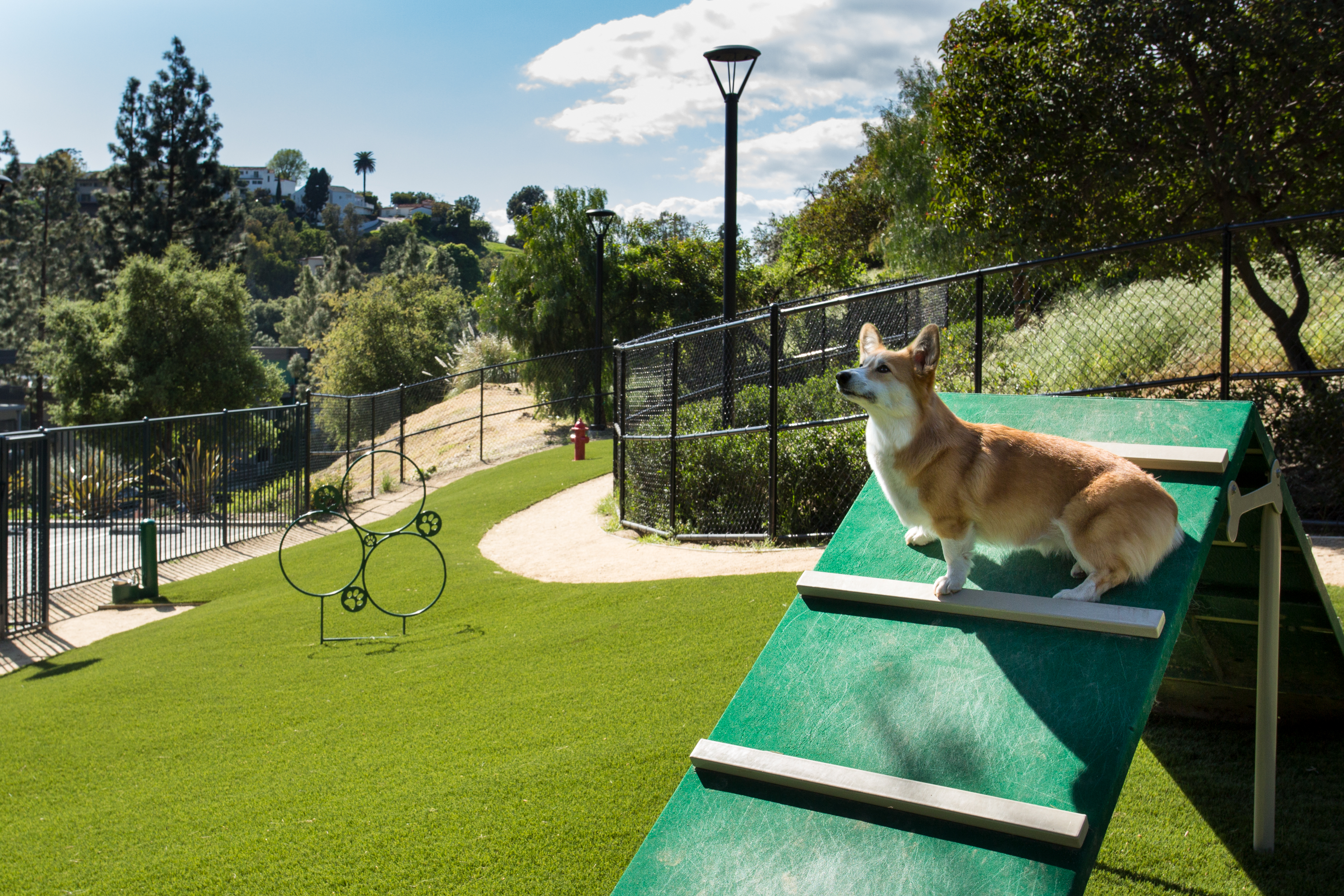 Dog park at Ava Toluca Hills