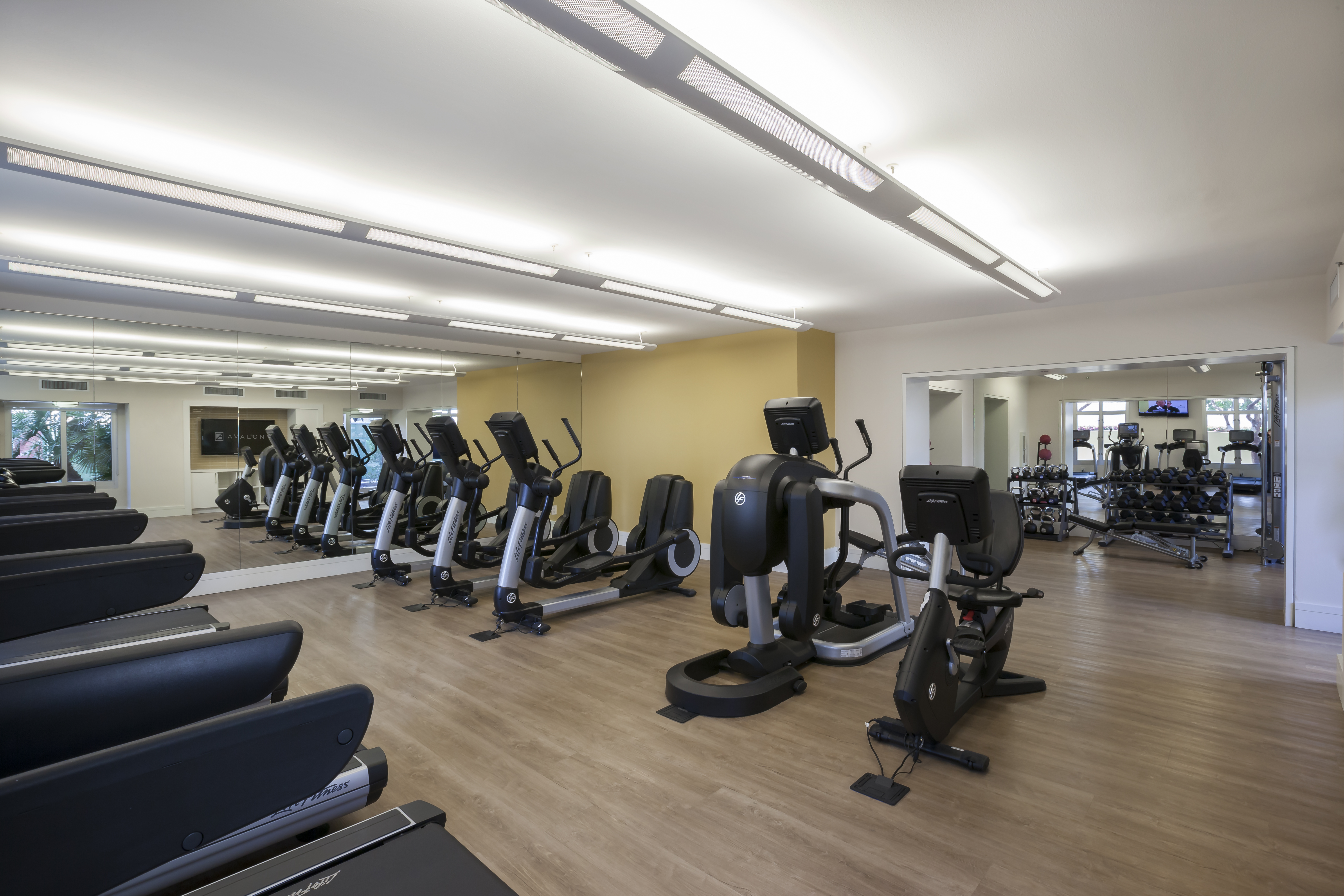Gym at Avalon Towers On The Peninsula (3 of 3)