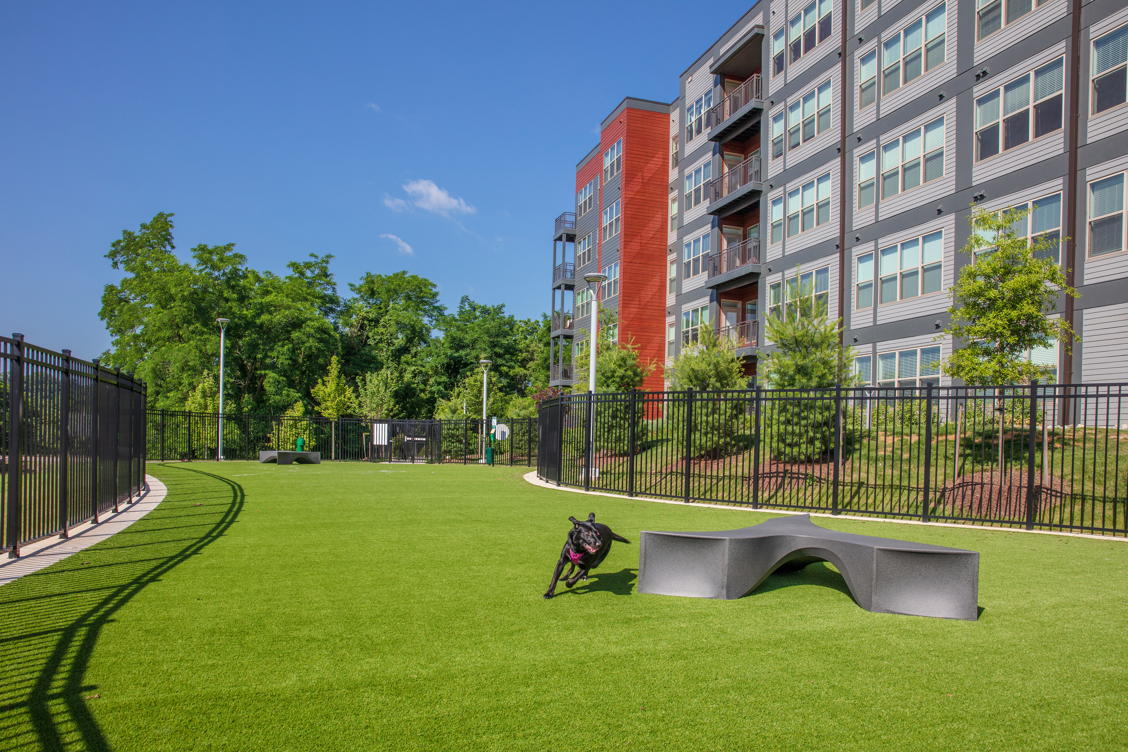 Dog park at Avalon Foundry Row