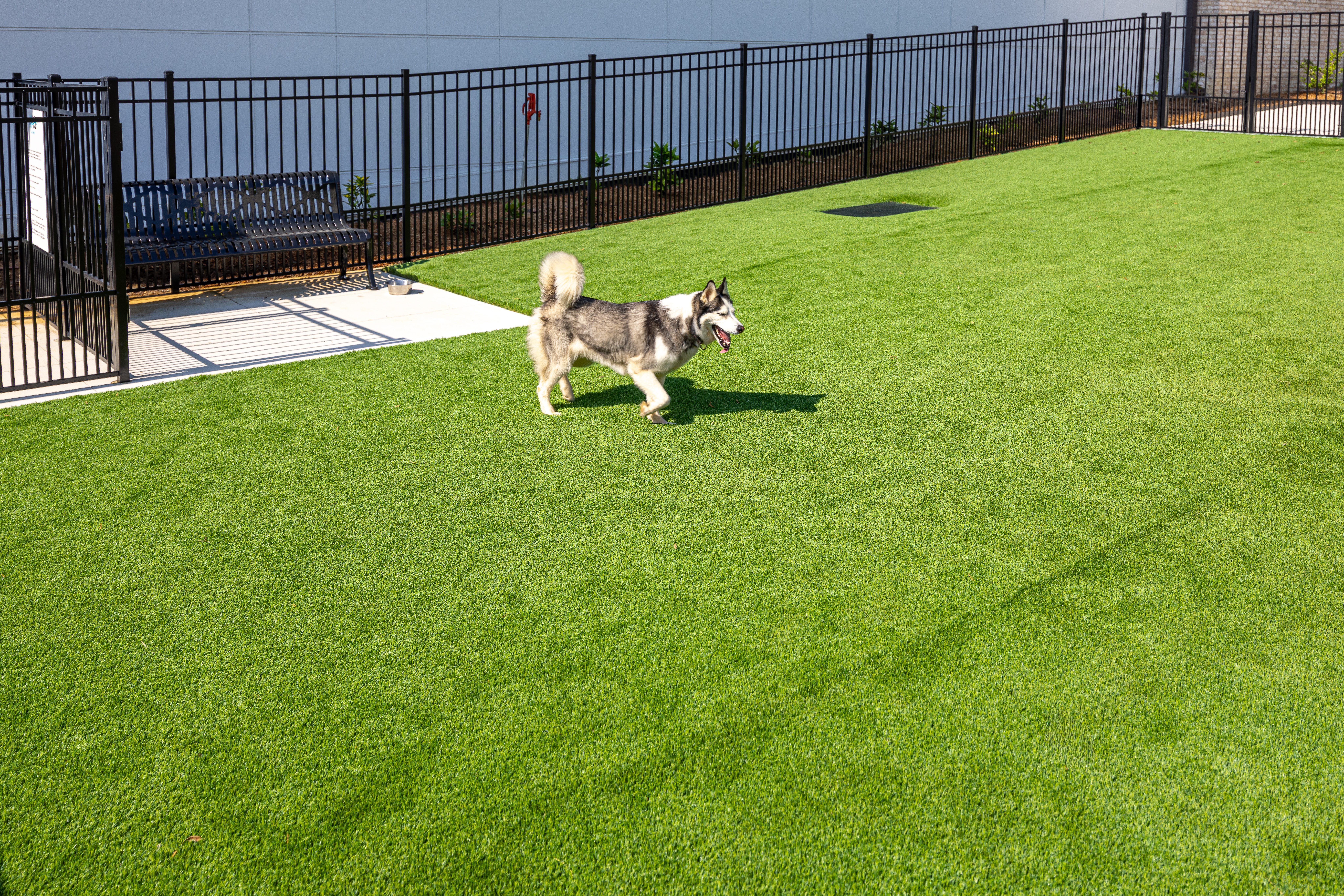 Dog park at Avalon Carmel Commons