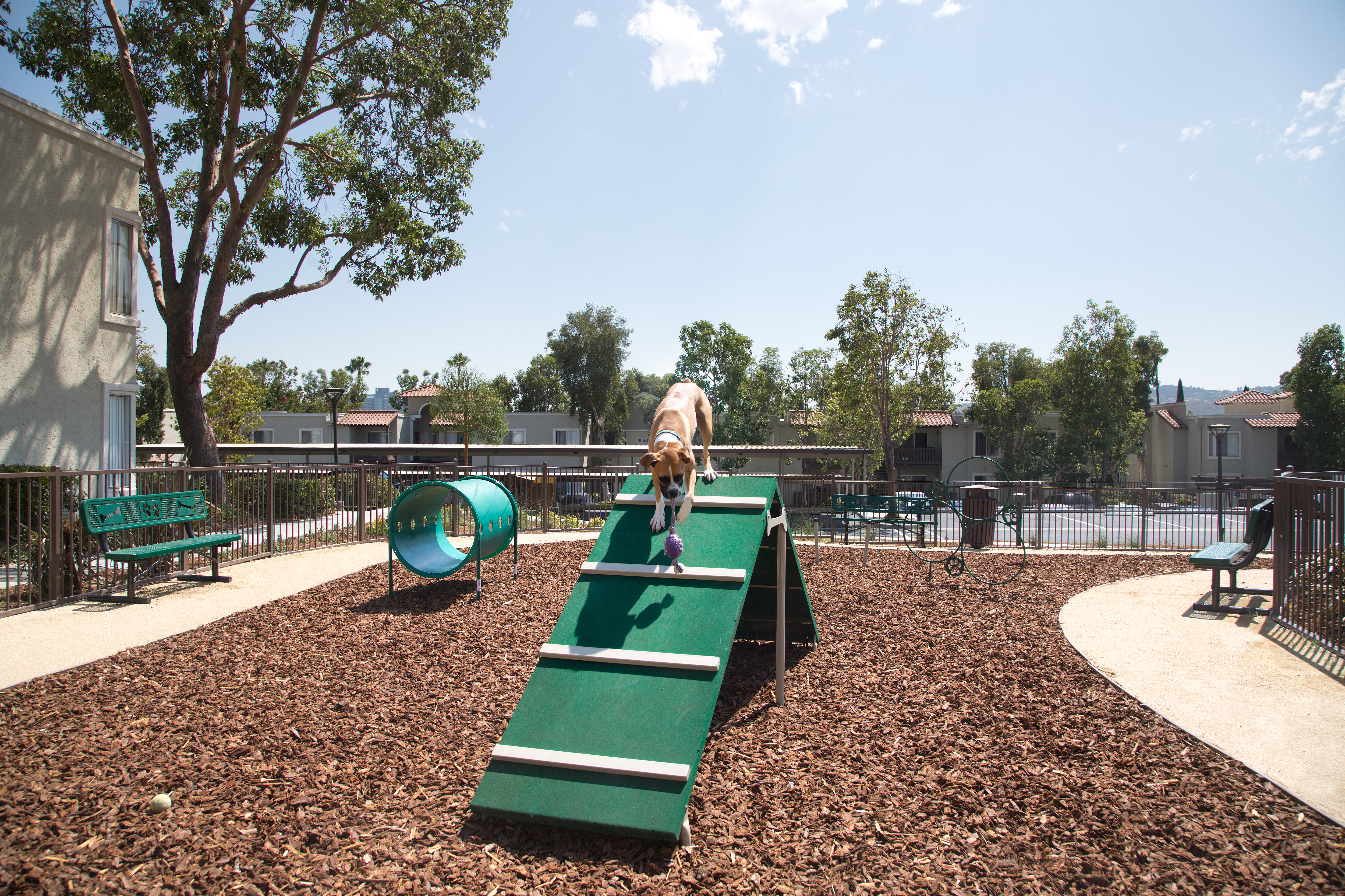 Dog park at Eaves (2 of 2)