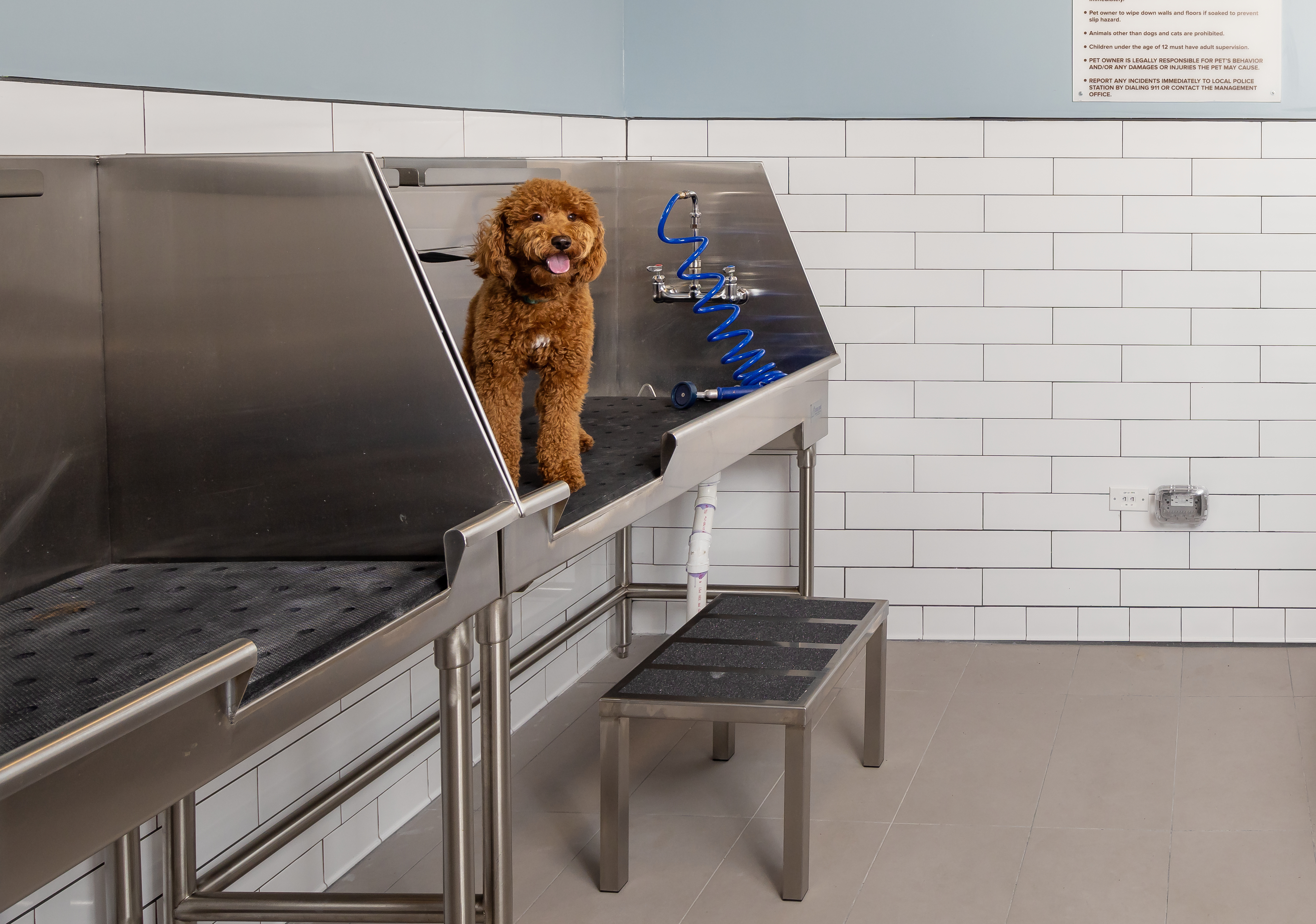 Pet wash at Avalon Merrick Park (1 of 2)