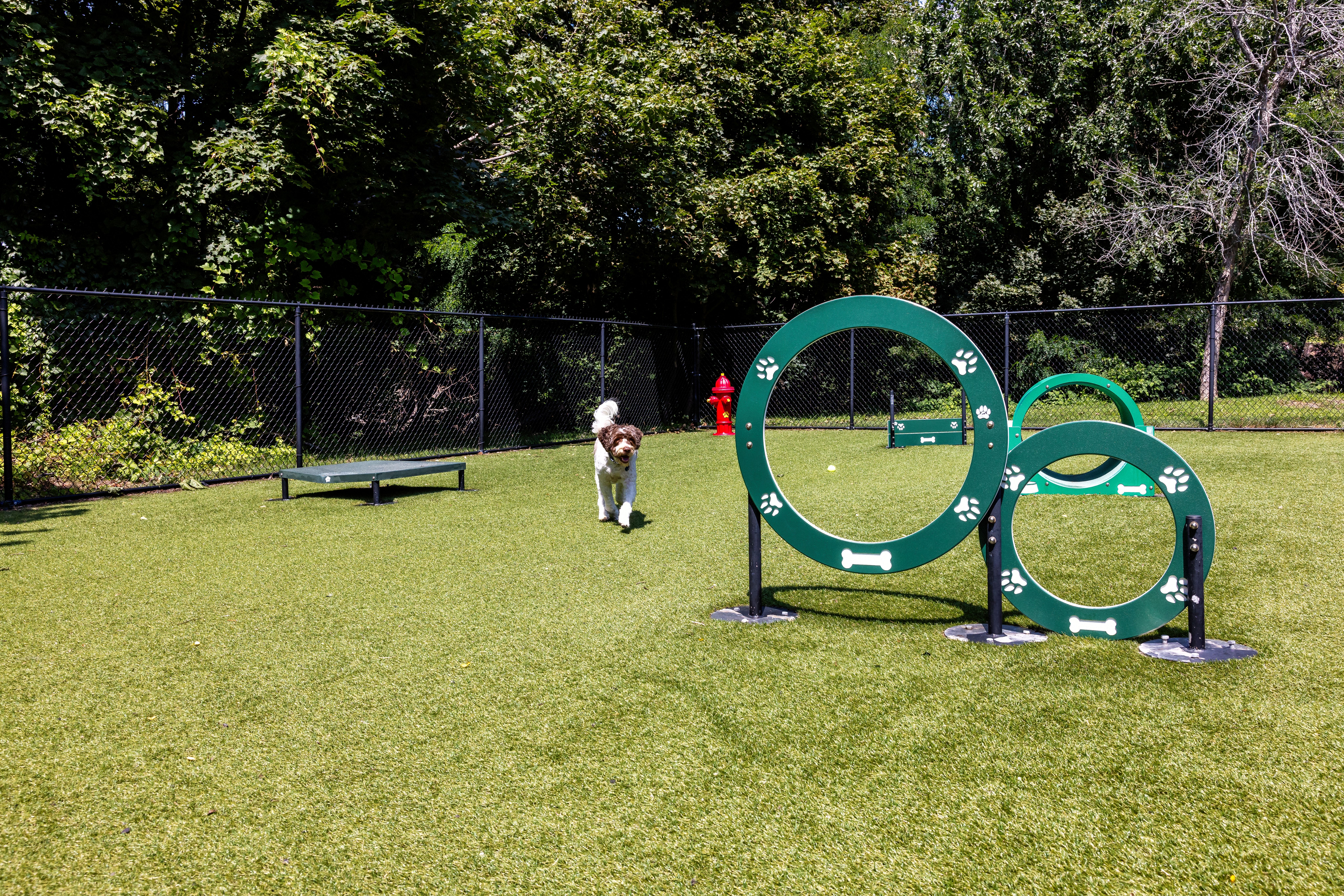 Dog park at Avalon At Lexington Hills