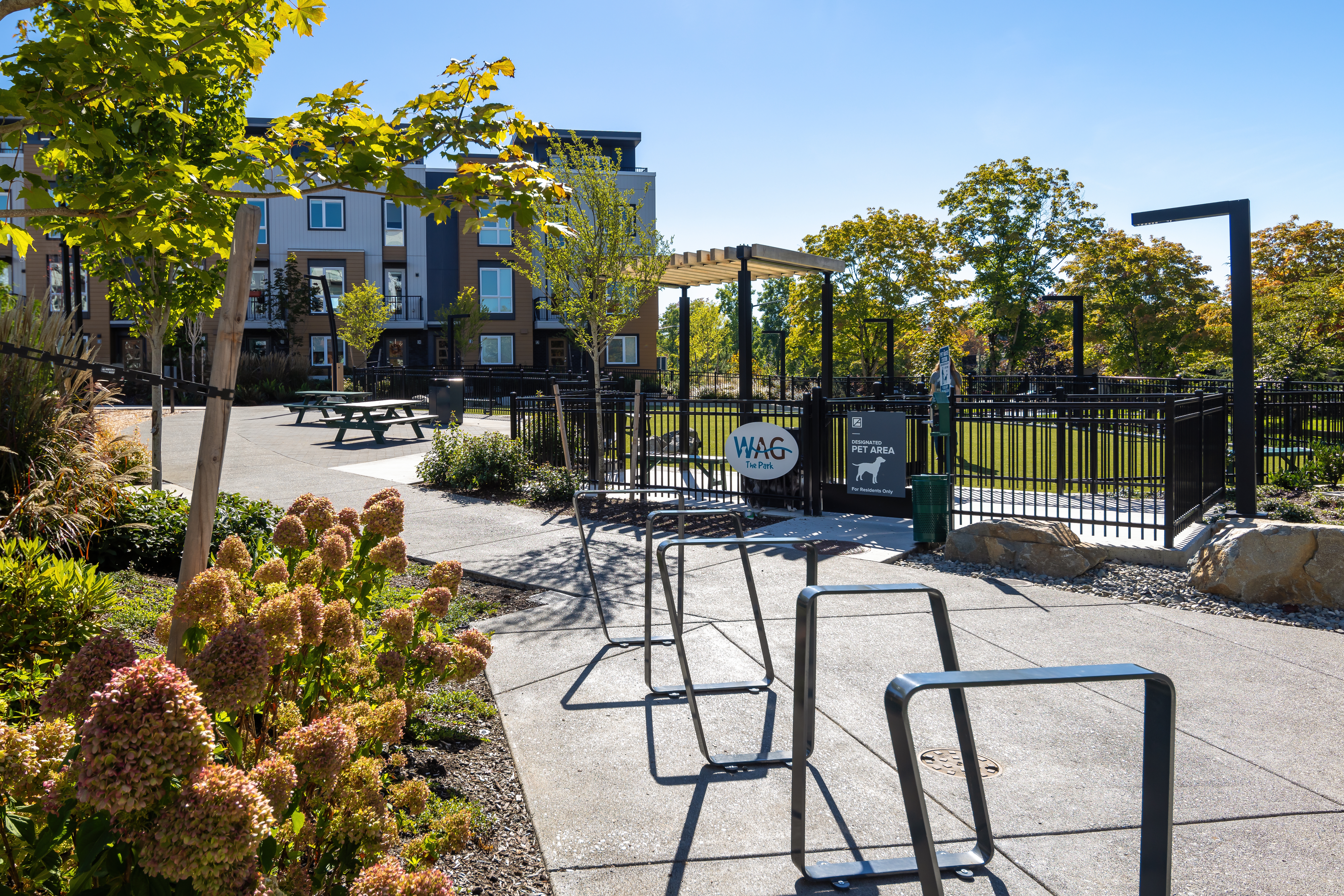 Dog park at Avalon Bothell Commons (1 of 2)