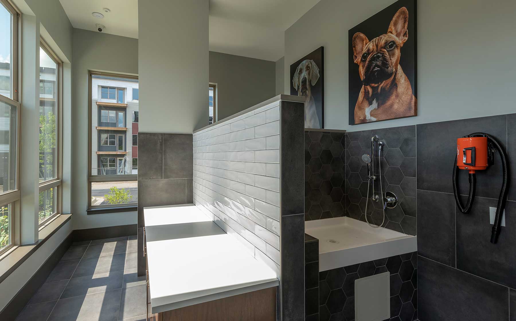 Pet wash at Avalon Arundel Crossing