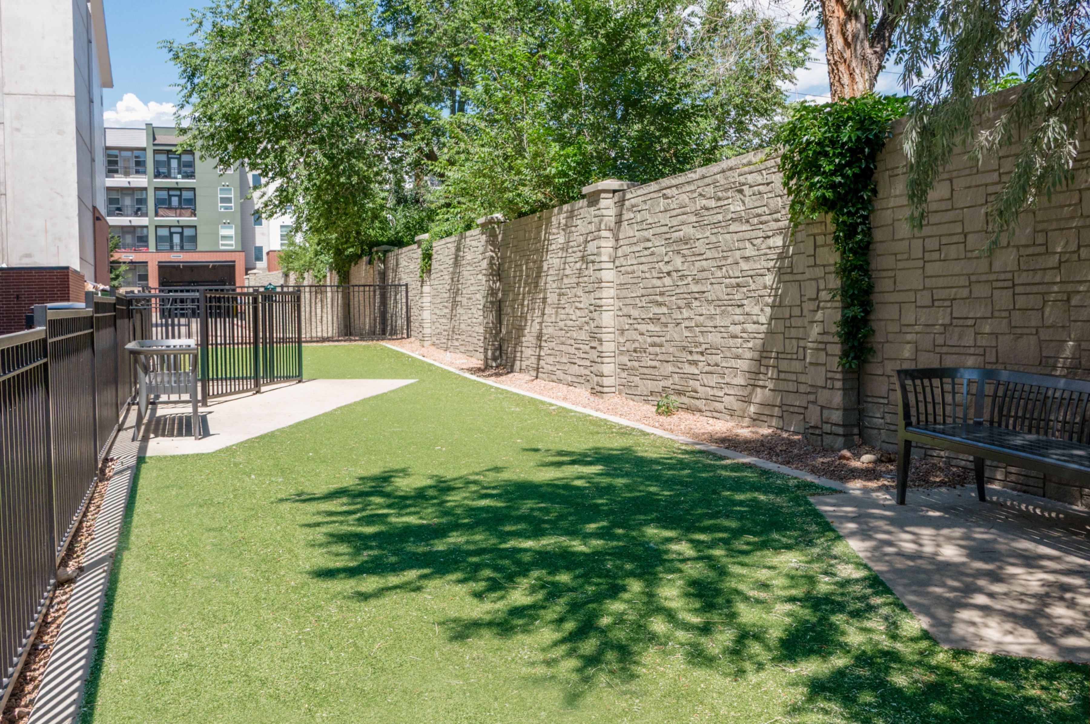Dog park at Avalon Cherry Hills