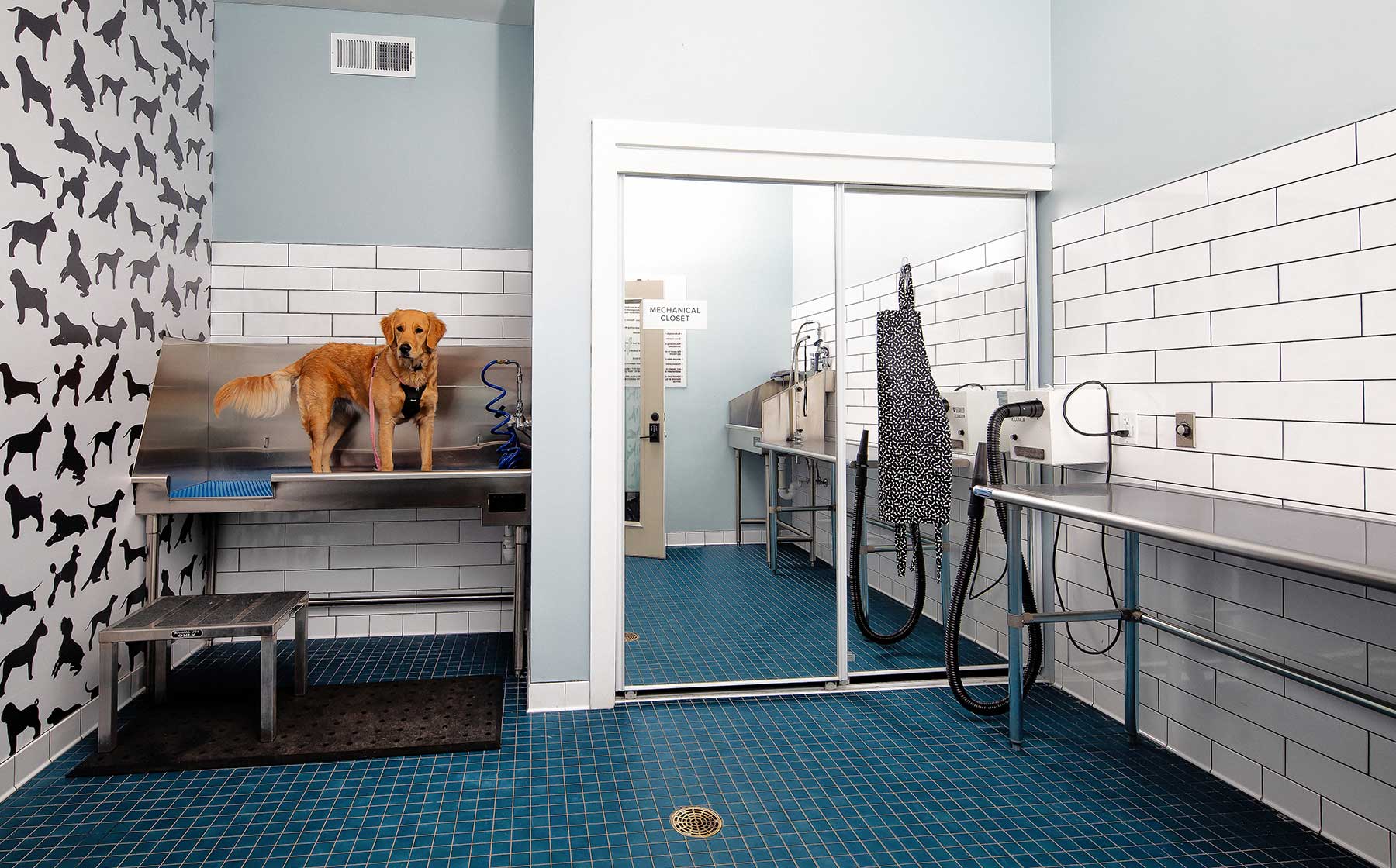Pet wash at Avalon Reston Landing