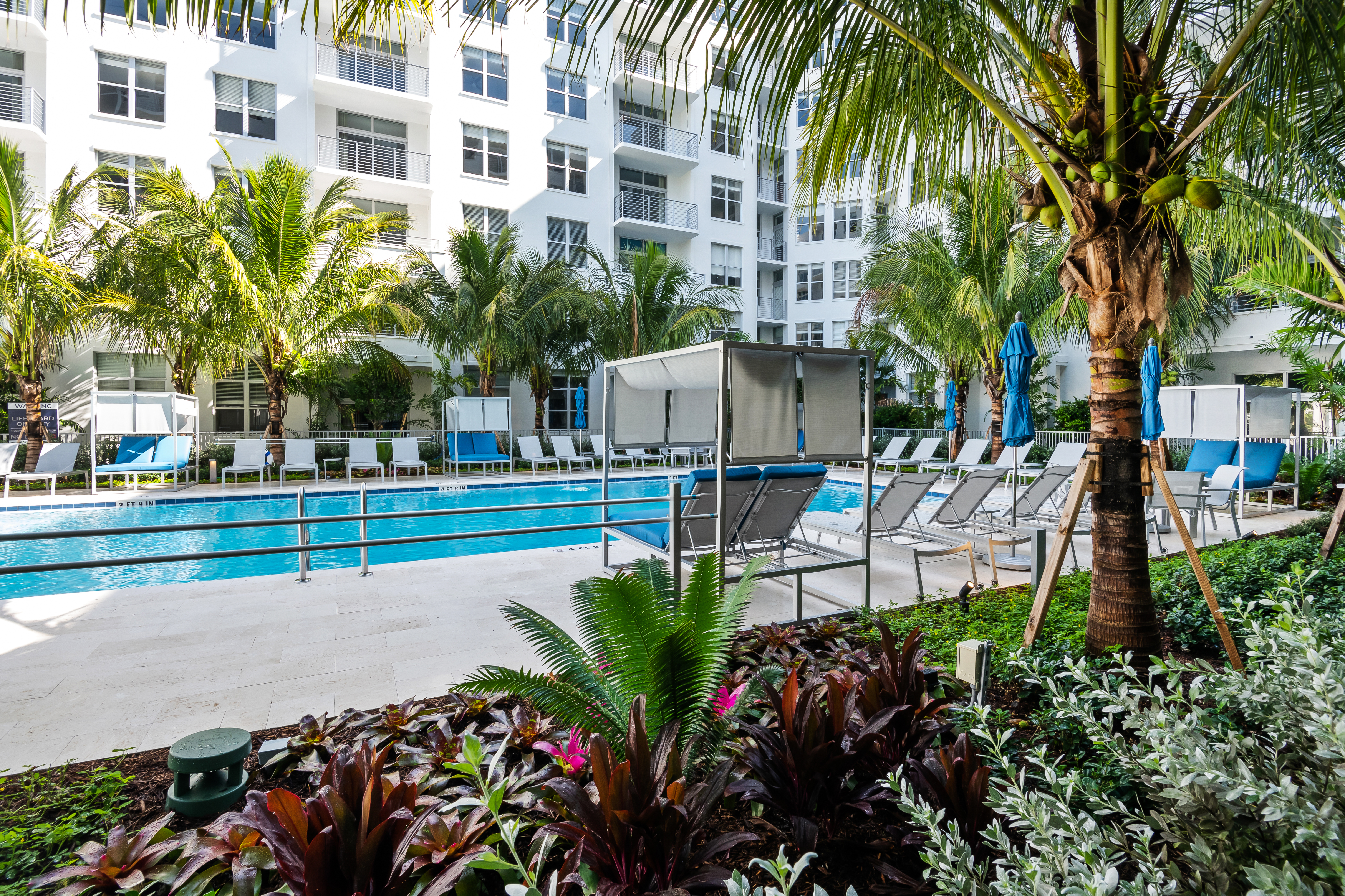 Pool at Avalon (3 of 3)