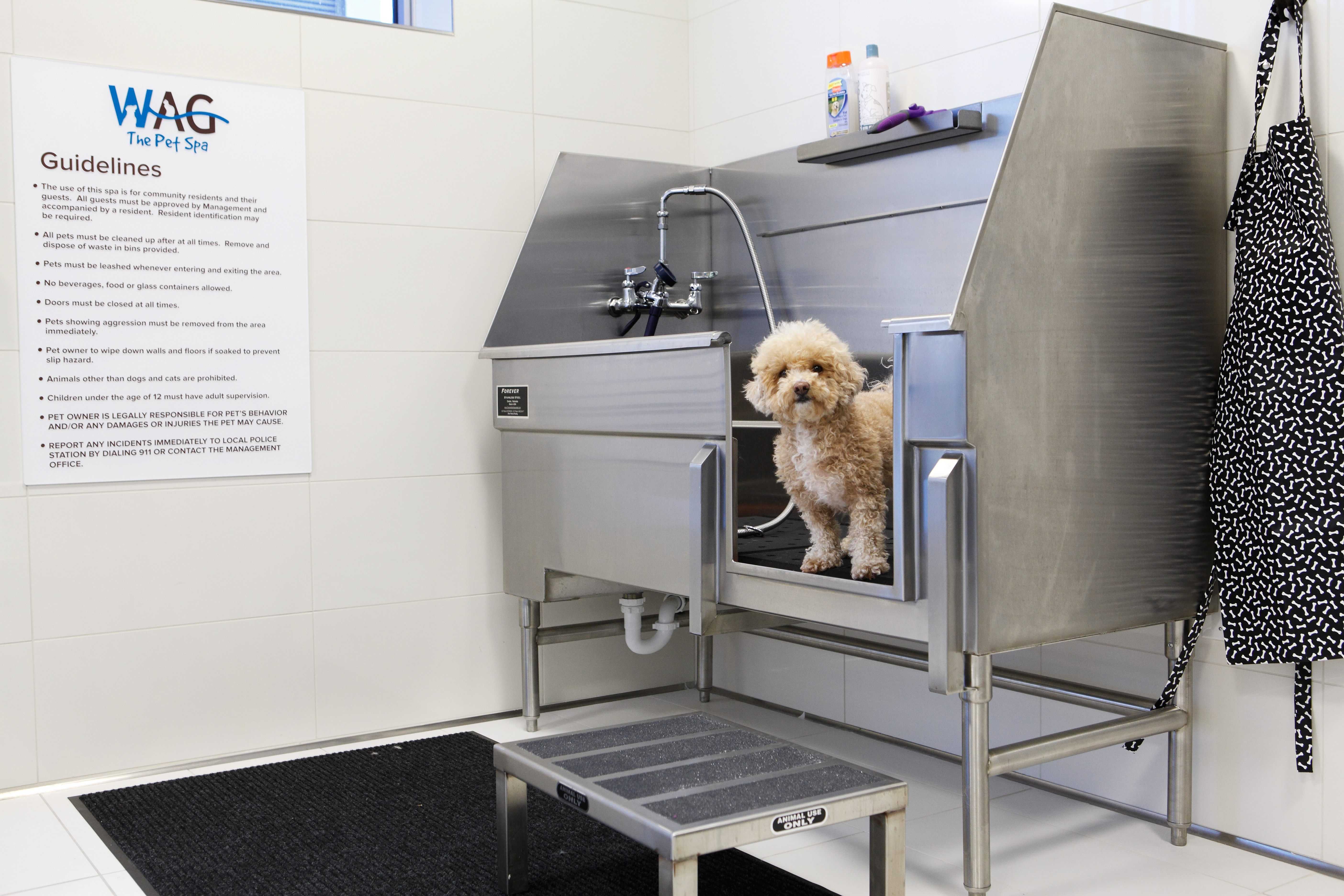 Pet wash at Avalon Belltown Towers