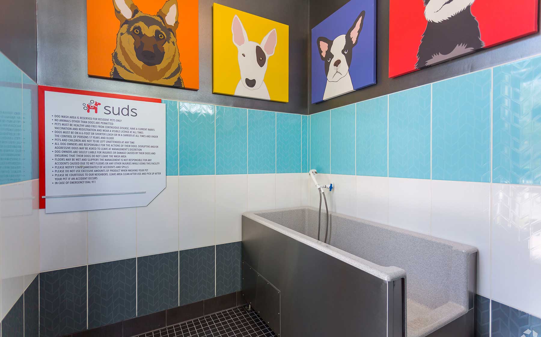 Pet wash at Avalon Bonterra