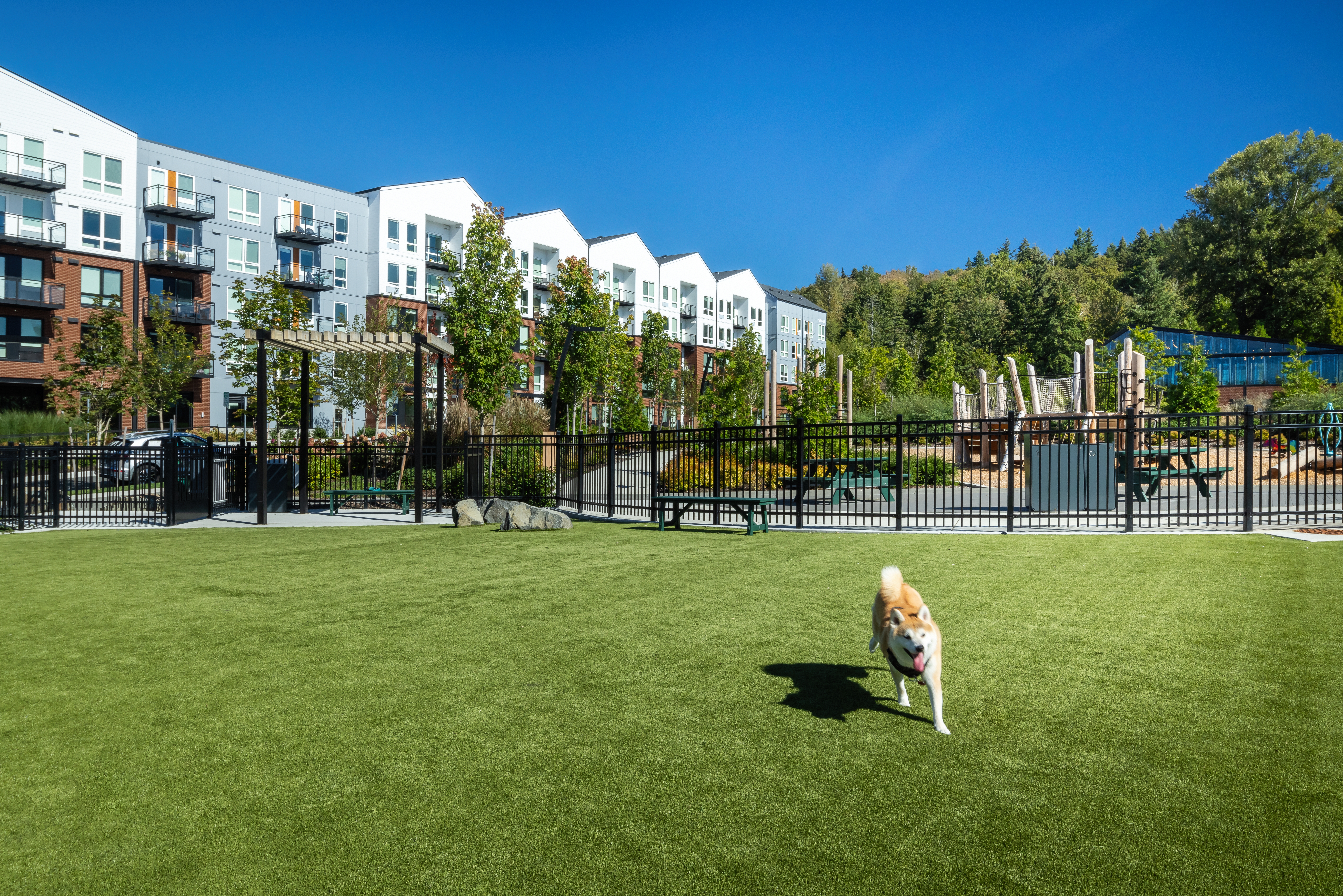 Dog park at Avalon Bothell Commons (2 of 2)
