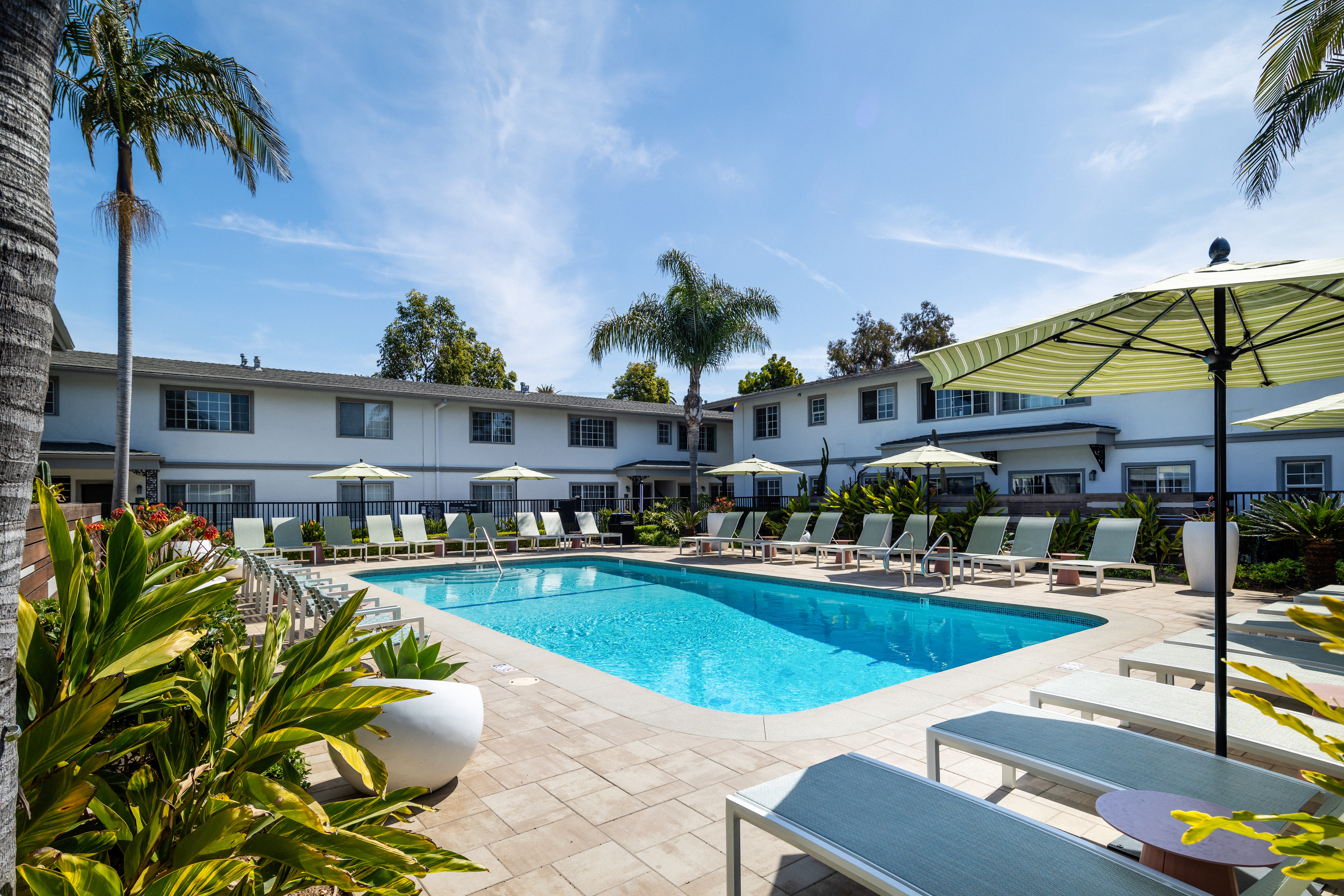 Pool at Ava Newport (1 of 3)