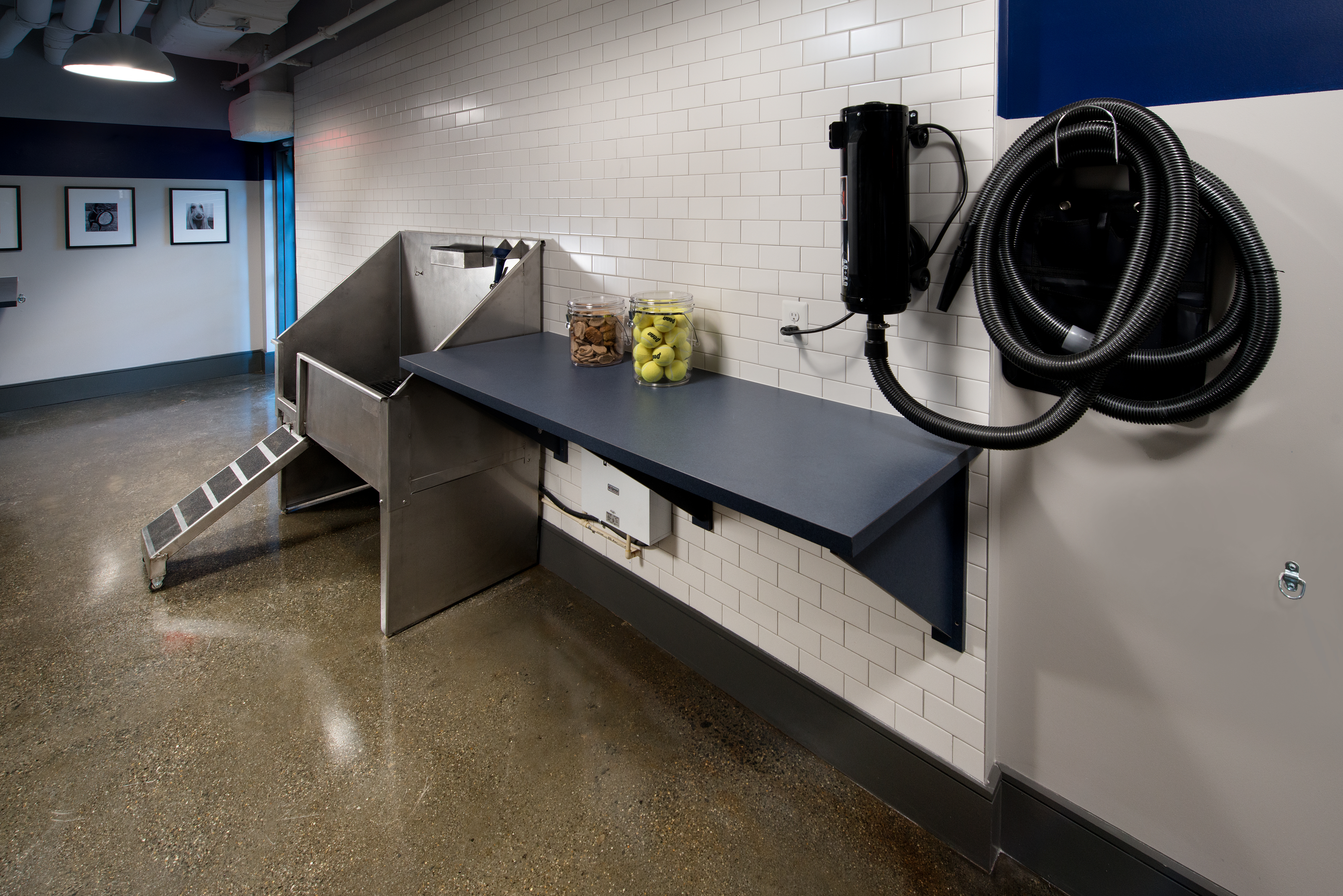 Pet wash at Avalon Dunn Loring
