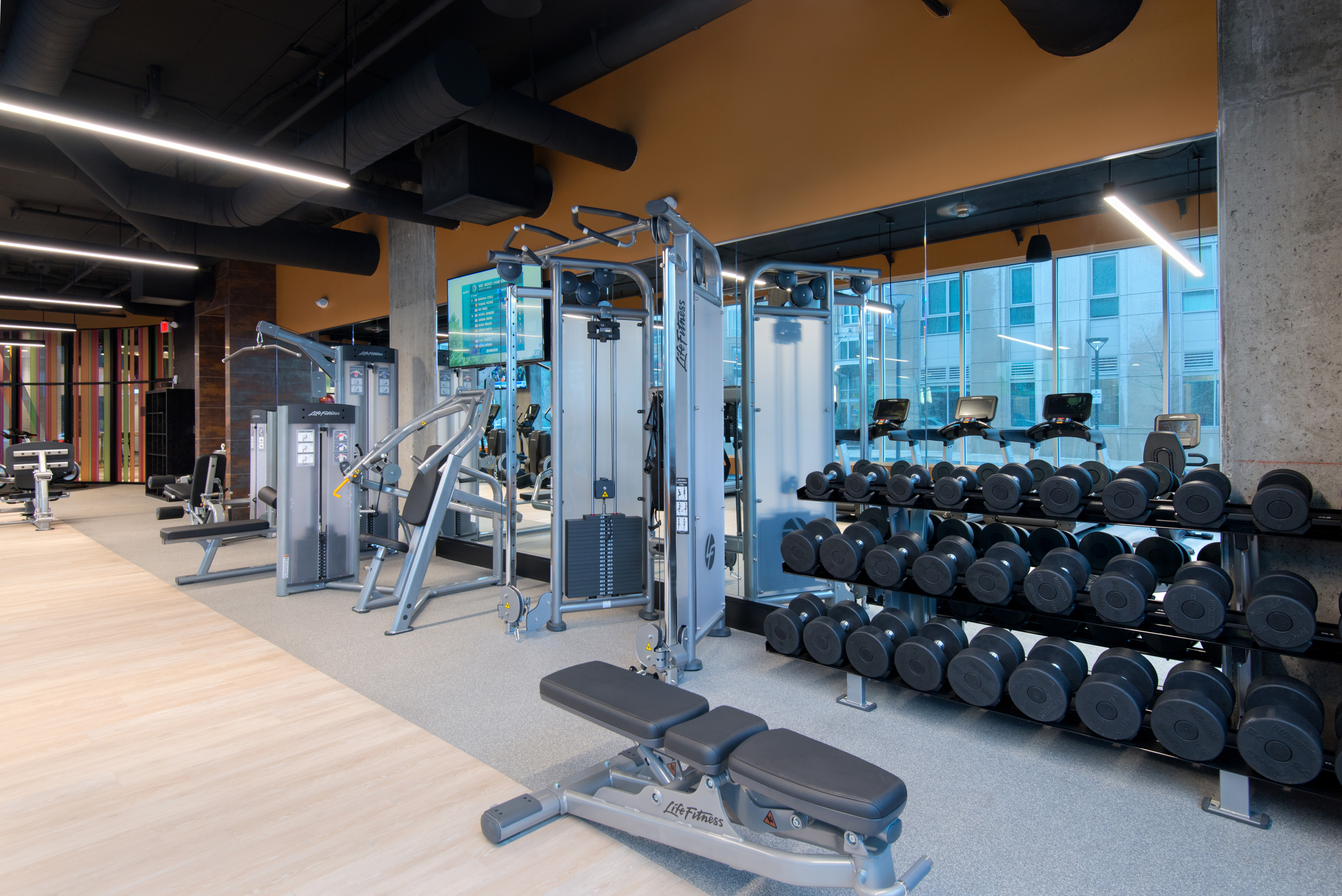 Gym at Ava North Point (3 of 3)