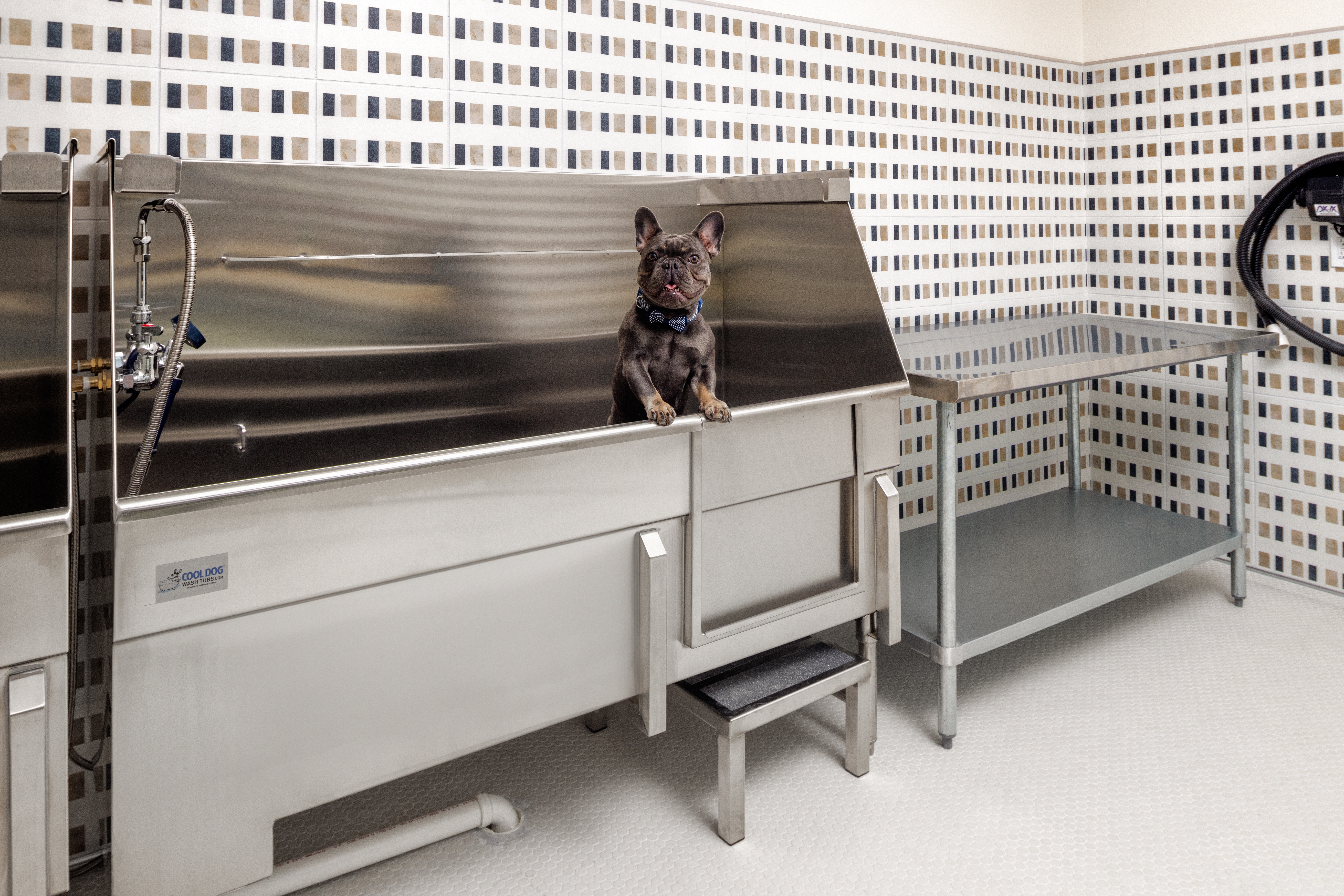 Pet wash at Avalon