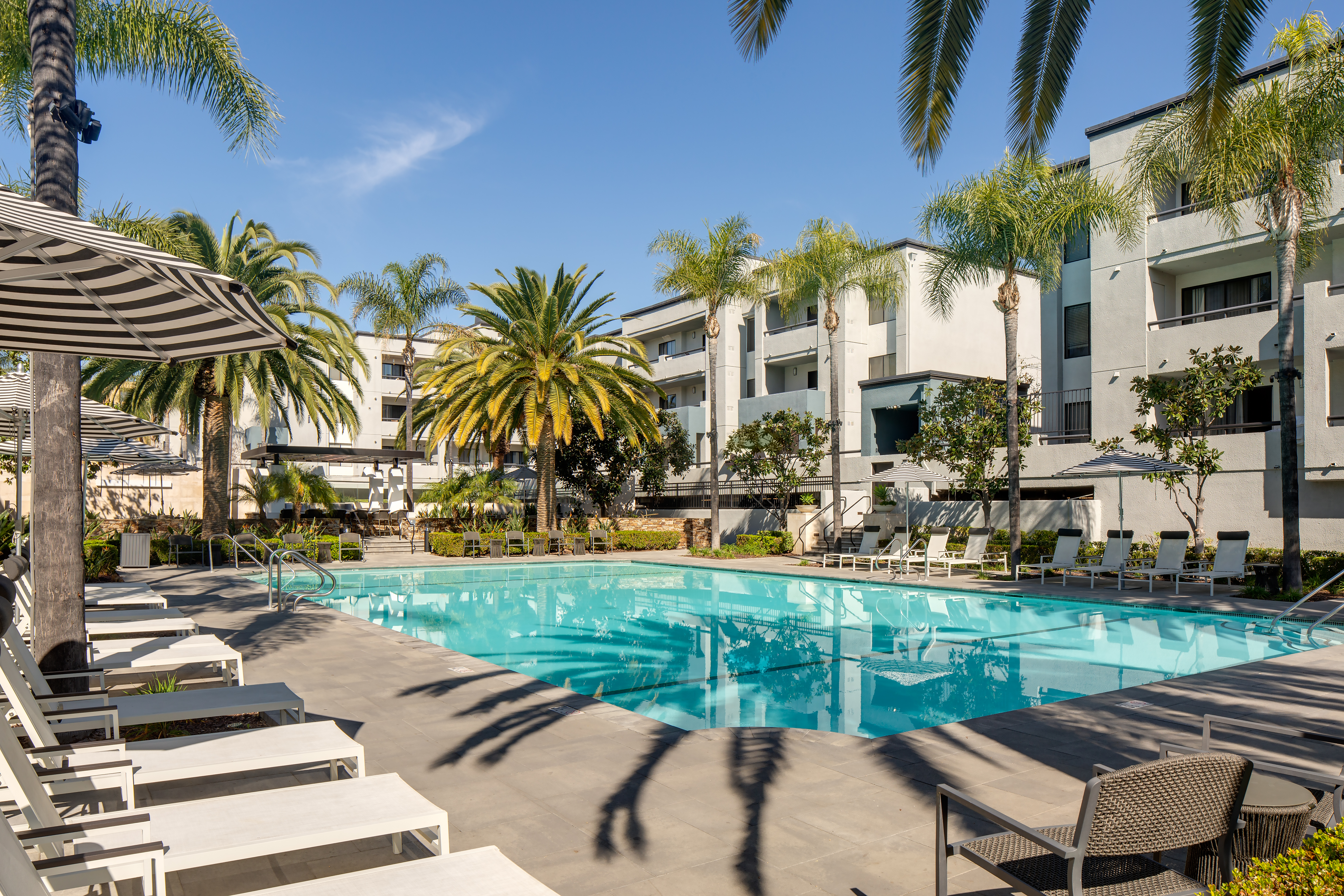 Pool at Avalon (1 of 4)