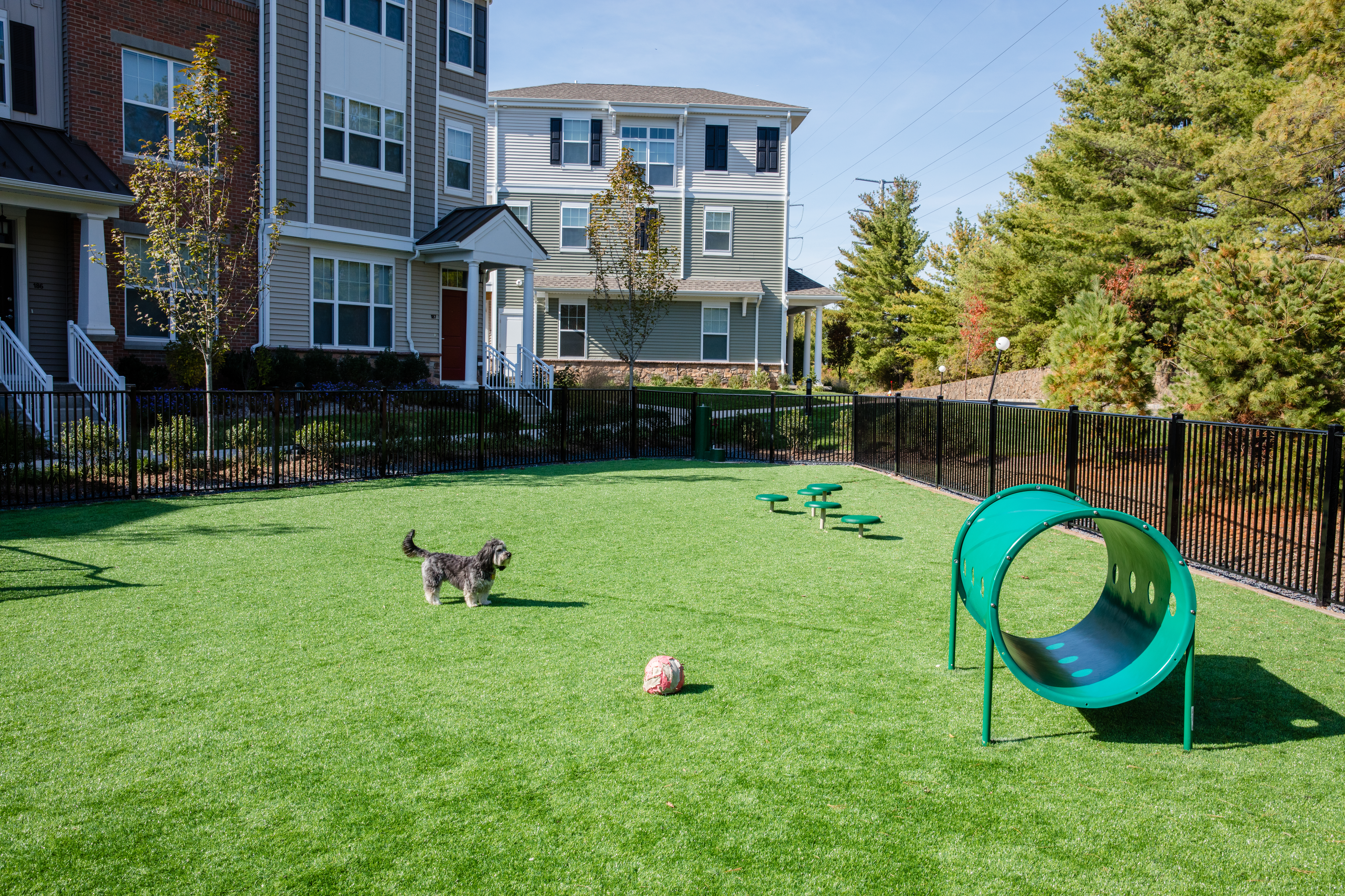 Dog park at Avalon Townhome Collection (1 of 2)