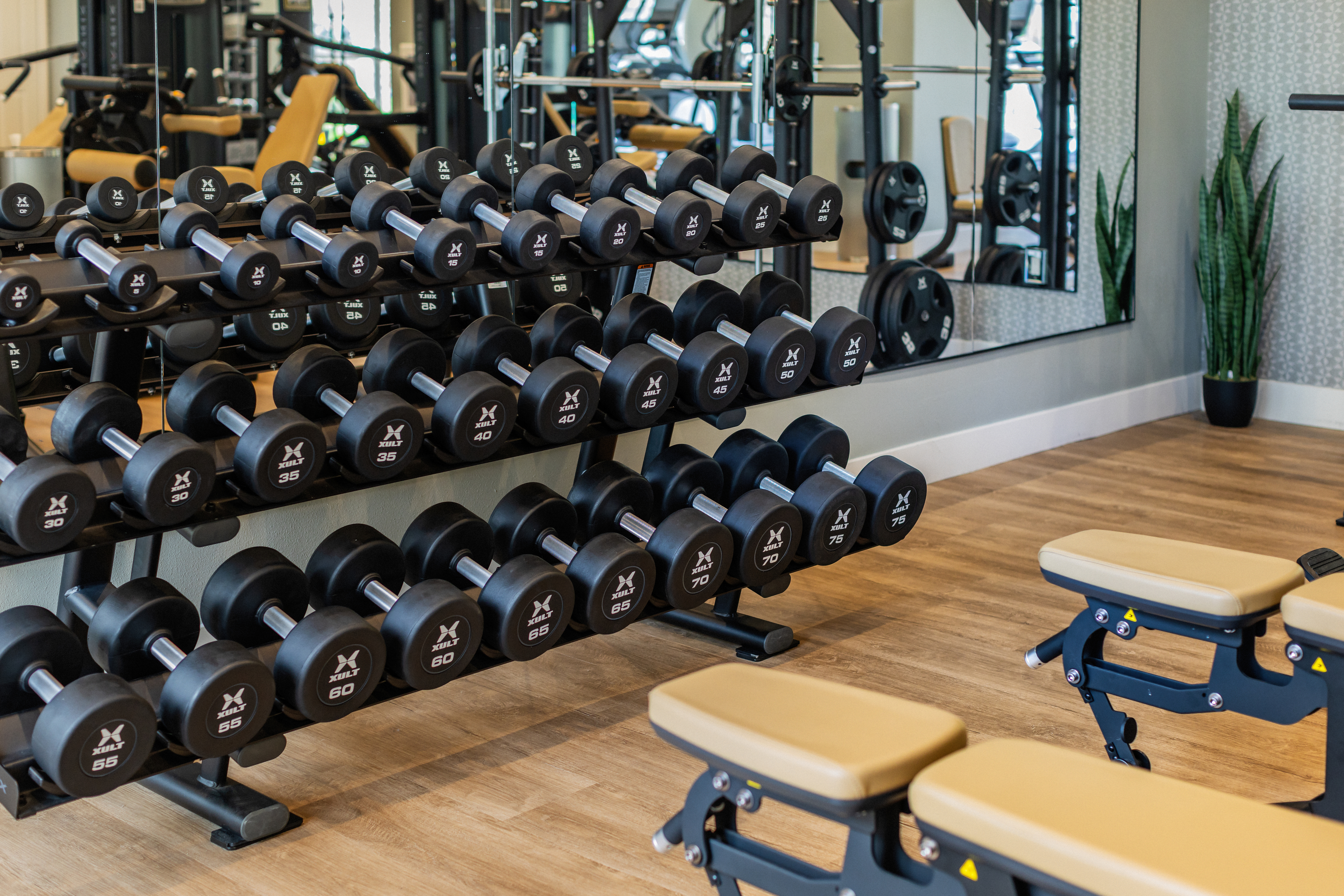 Gym at Avalon Thousand Oaks Plaza (3 of 3)