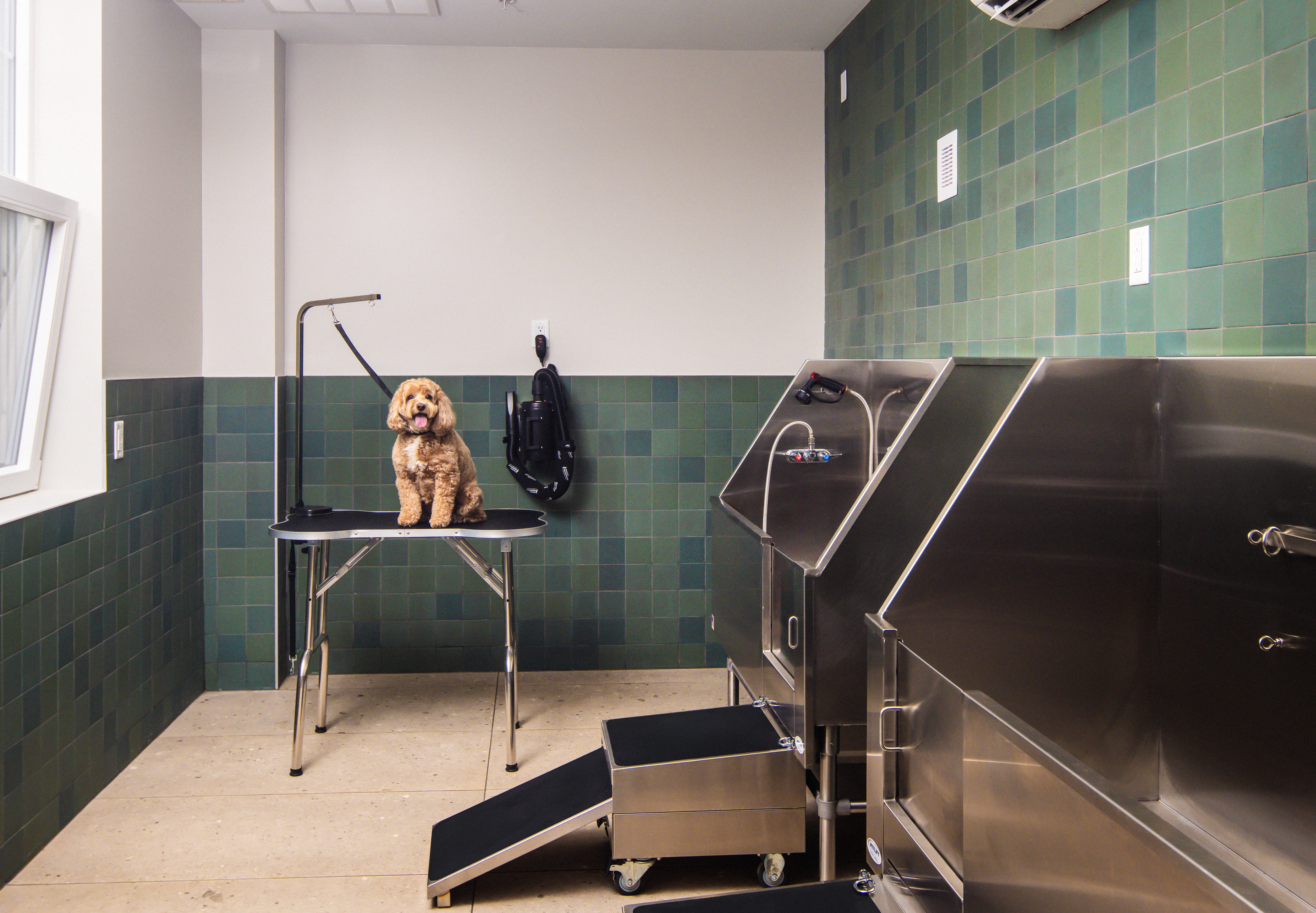 Pet wash at Avalon