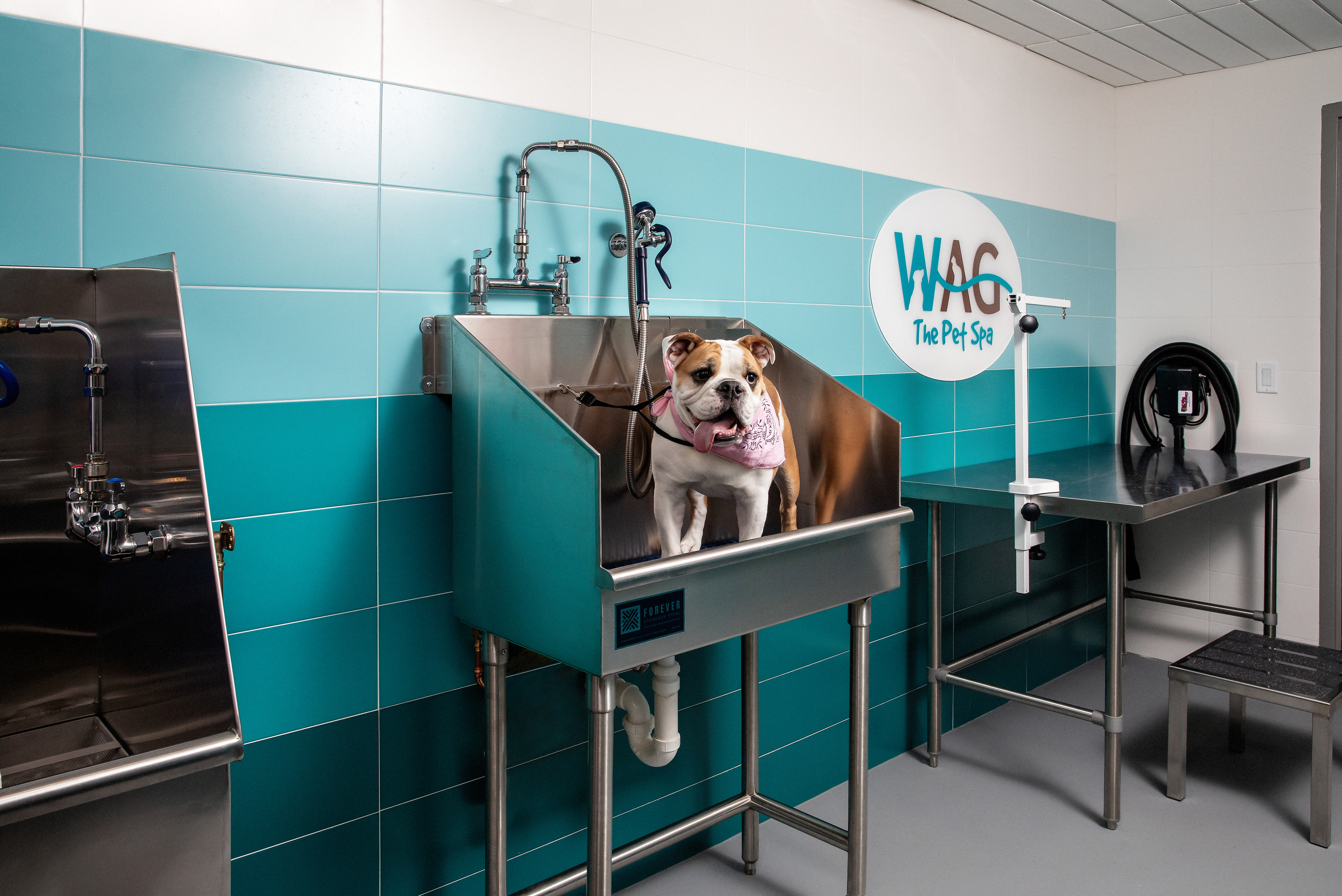 Pet wash at Avalon Brighton