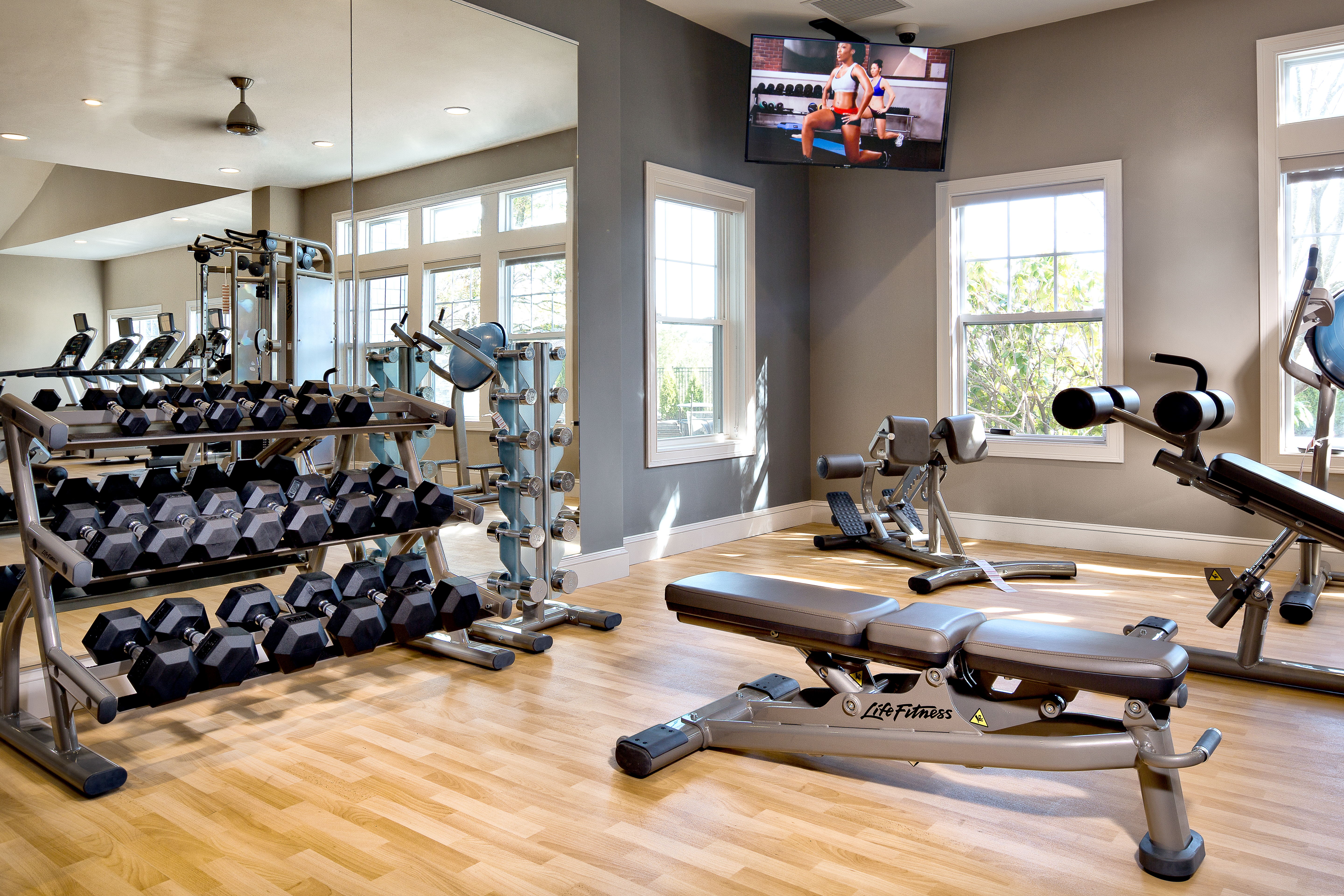 Gym at Avalon Bear Hill (3 of 4)