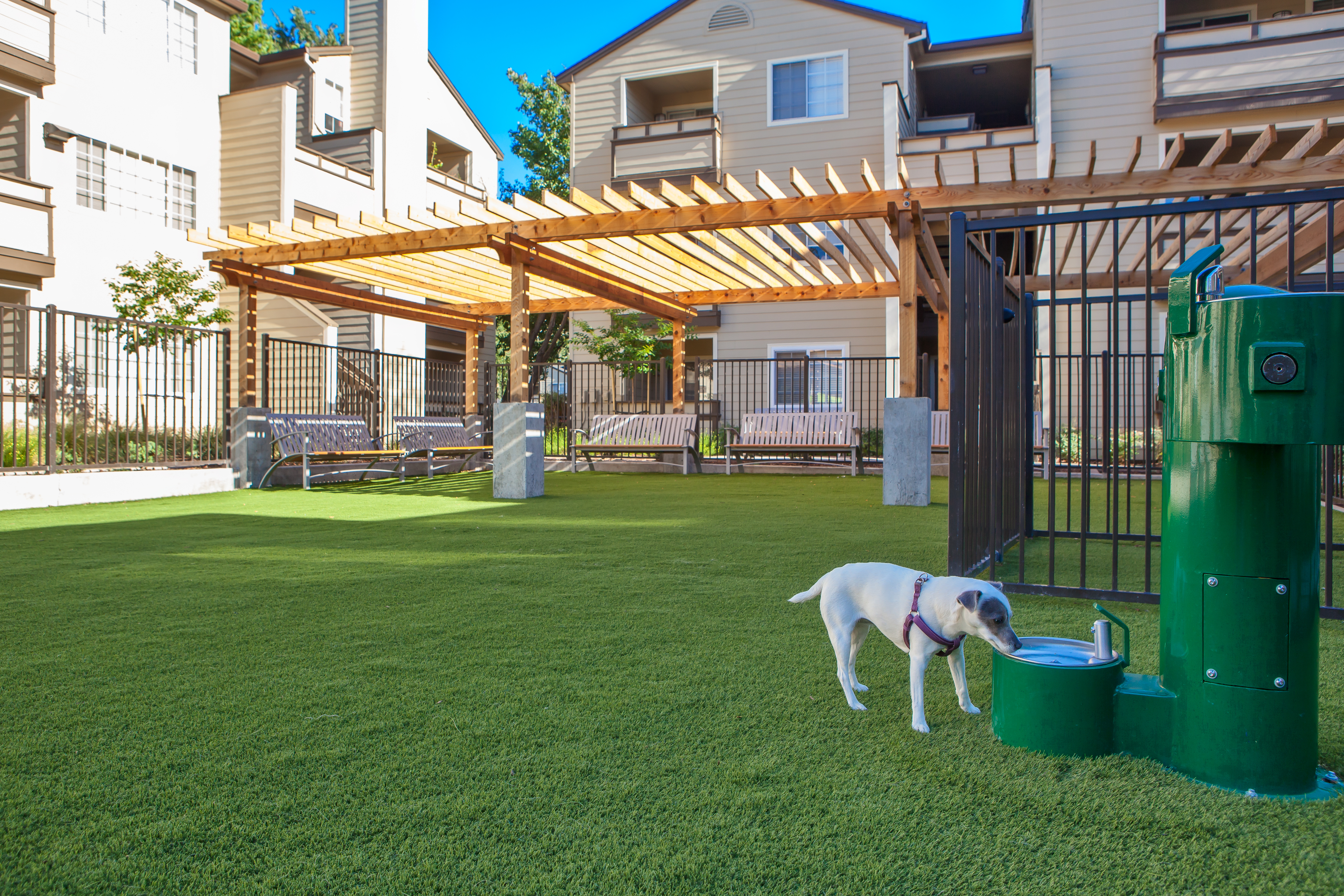 Dog park at Eaves (1 of 2)