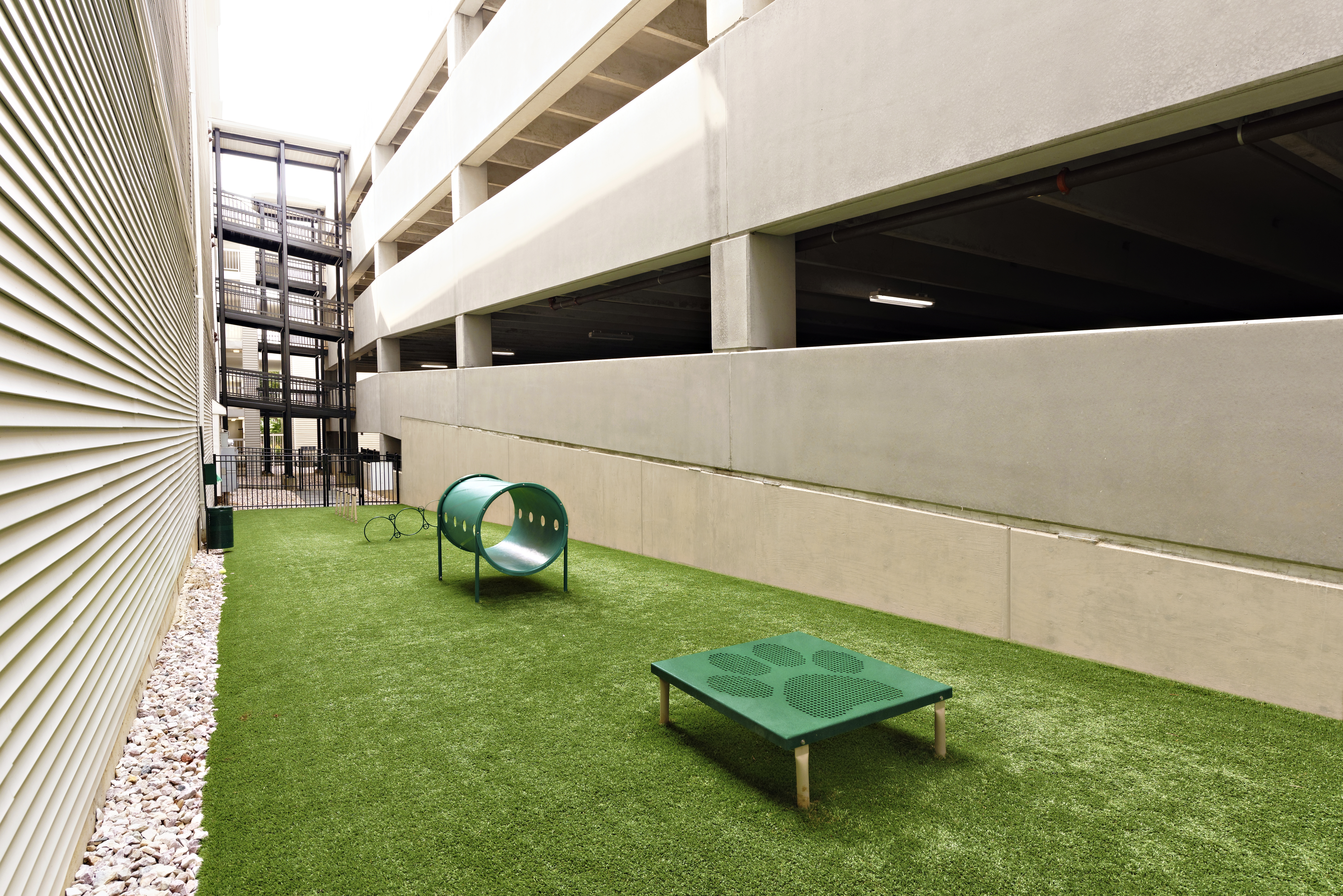 Dog park at Avalon At Arlington Square (1 of 3)