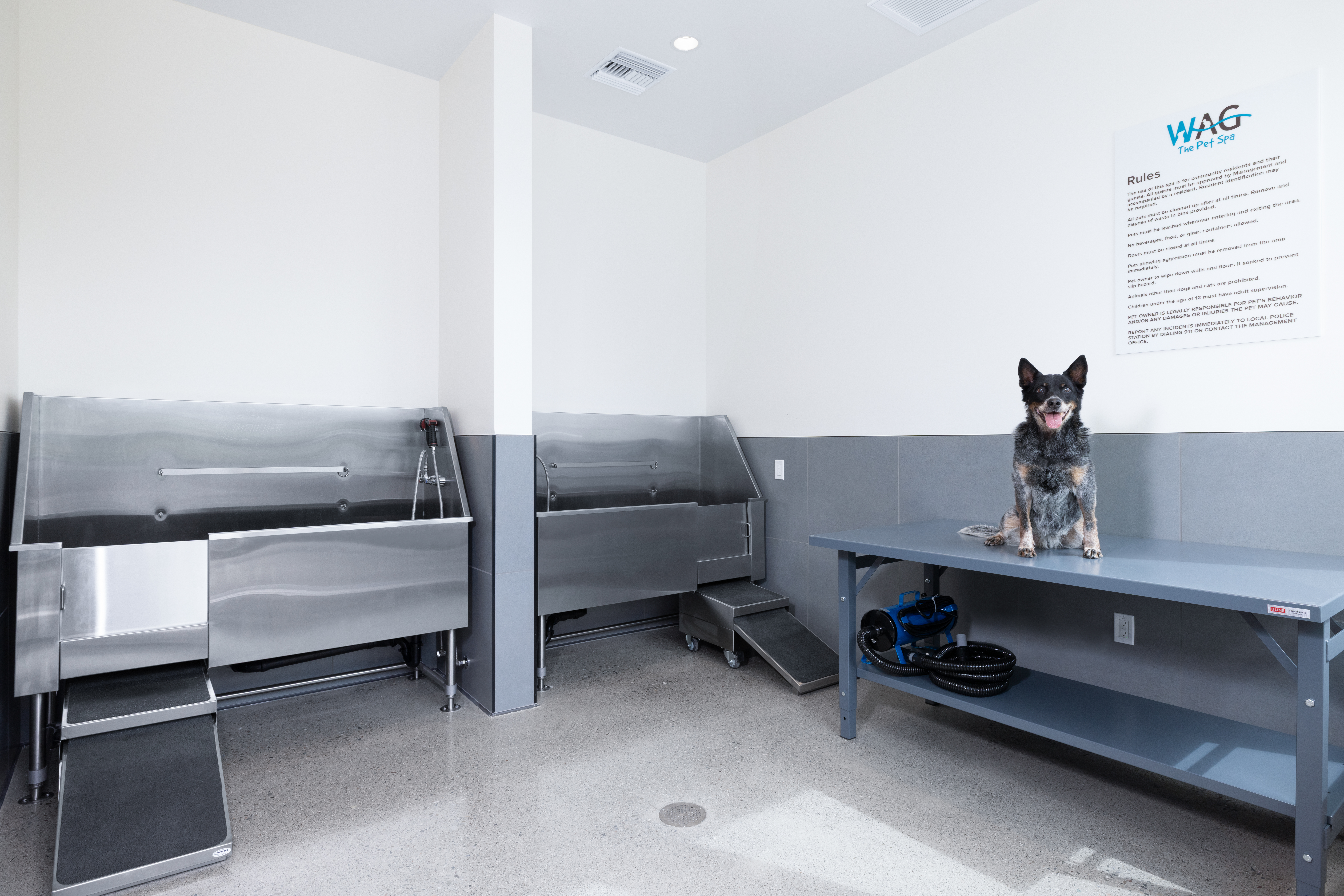 Pet wash at Avalon